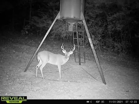 Wildlife is plentiful.