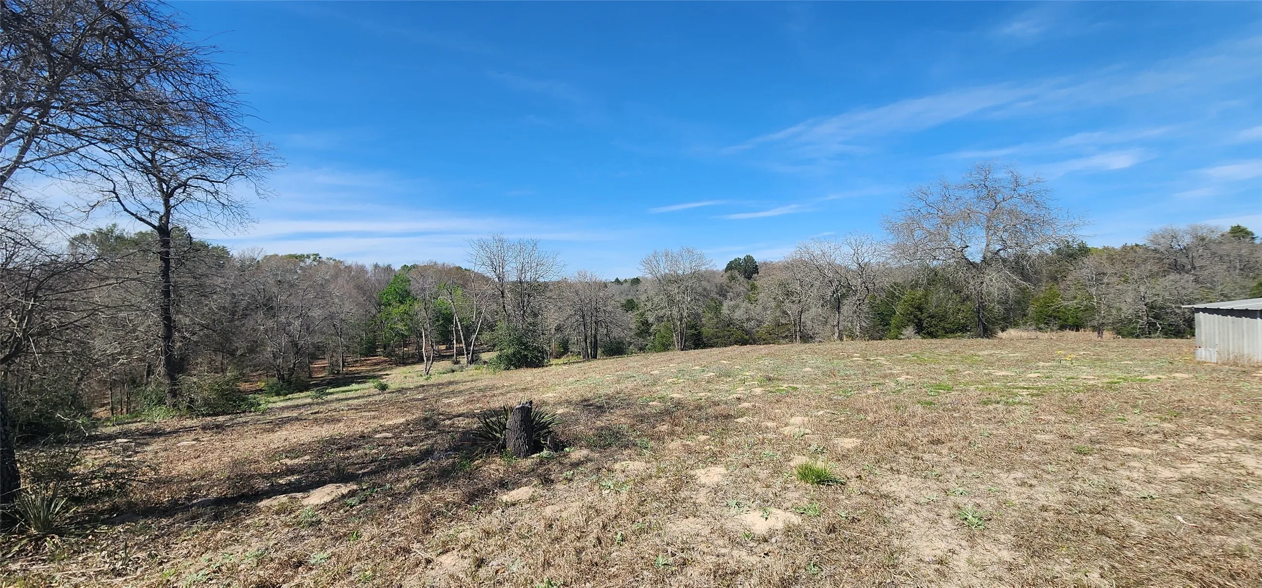 View of yard with a view of rural / pastoral area