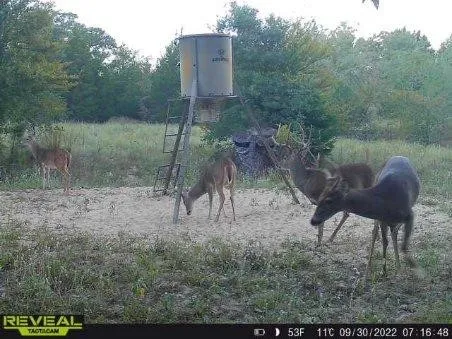 Wildlife is plentiful.