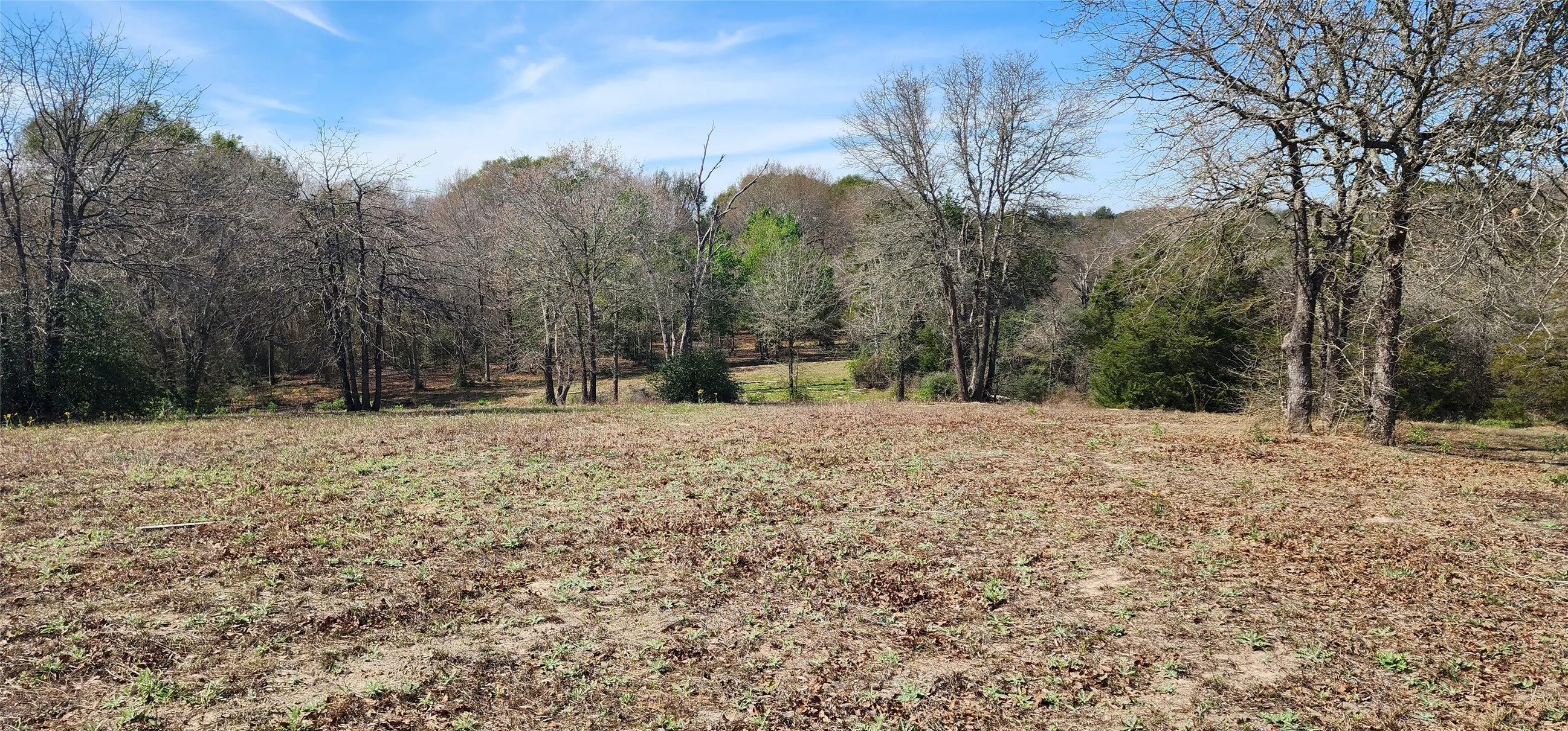 View of undeveloped land