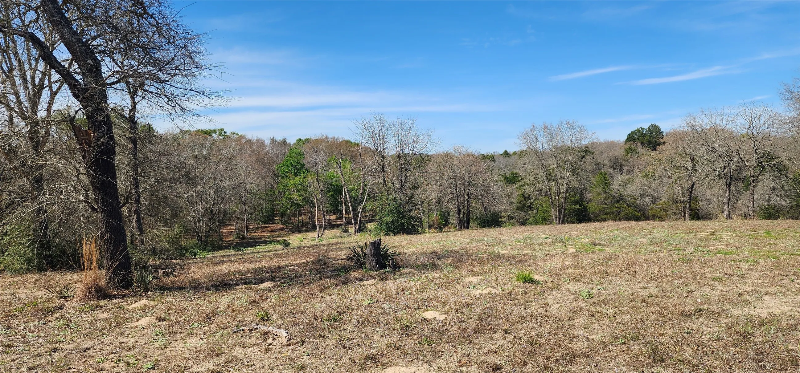 View of woods with a view of countryside