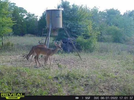 Wildlife is plentiful.