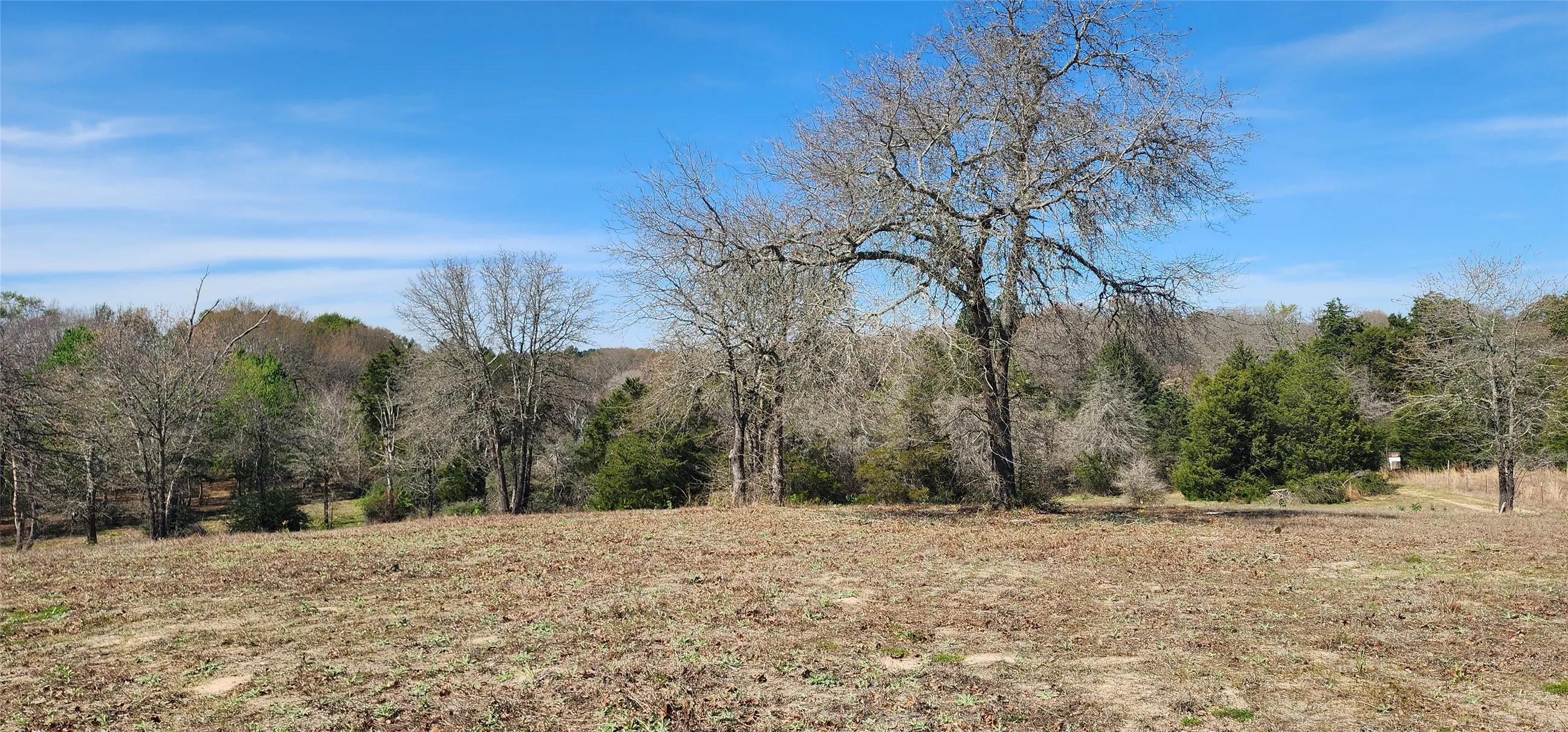 View of woods