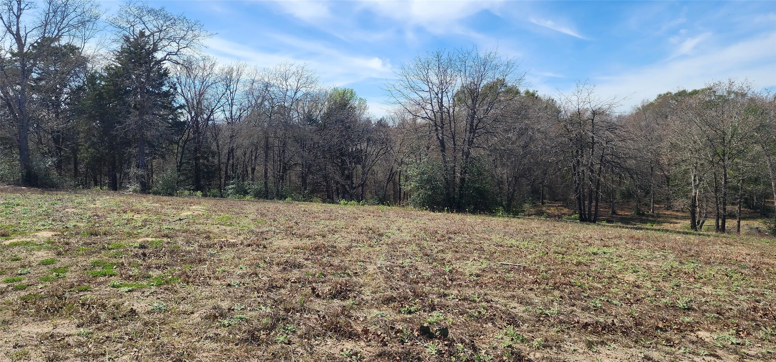 View of local wilderness