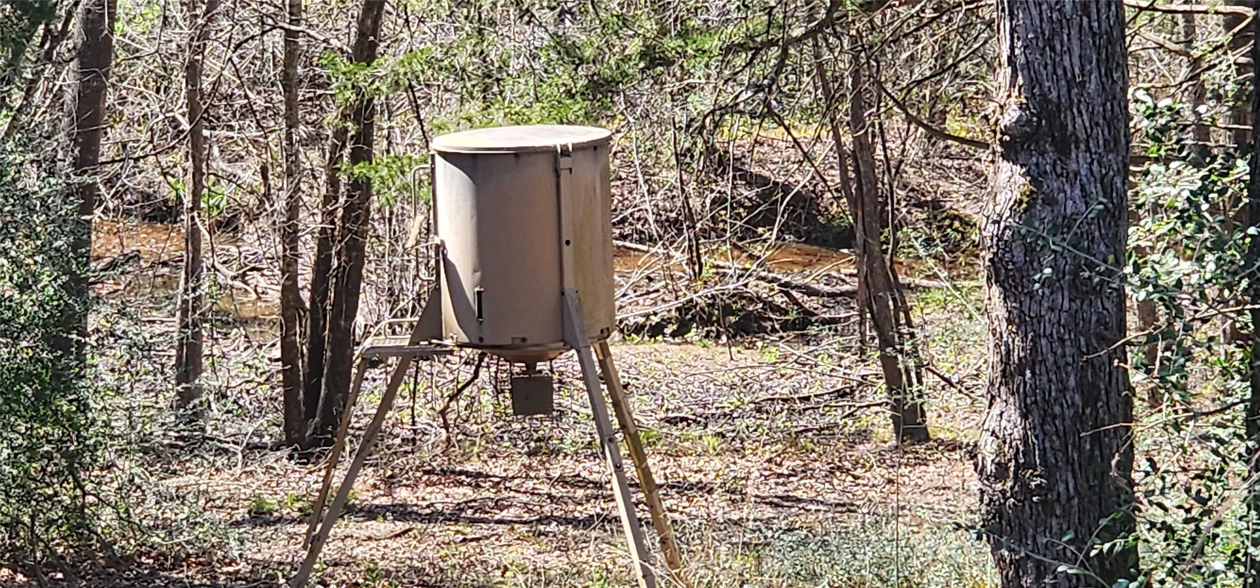 Deer feeder in the bottom land