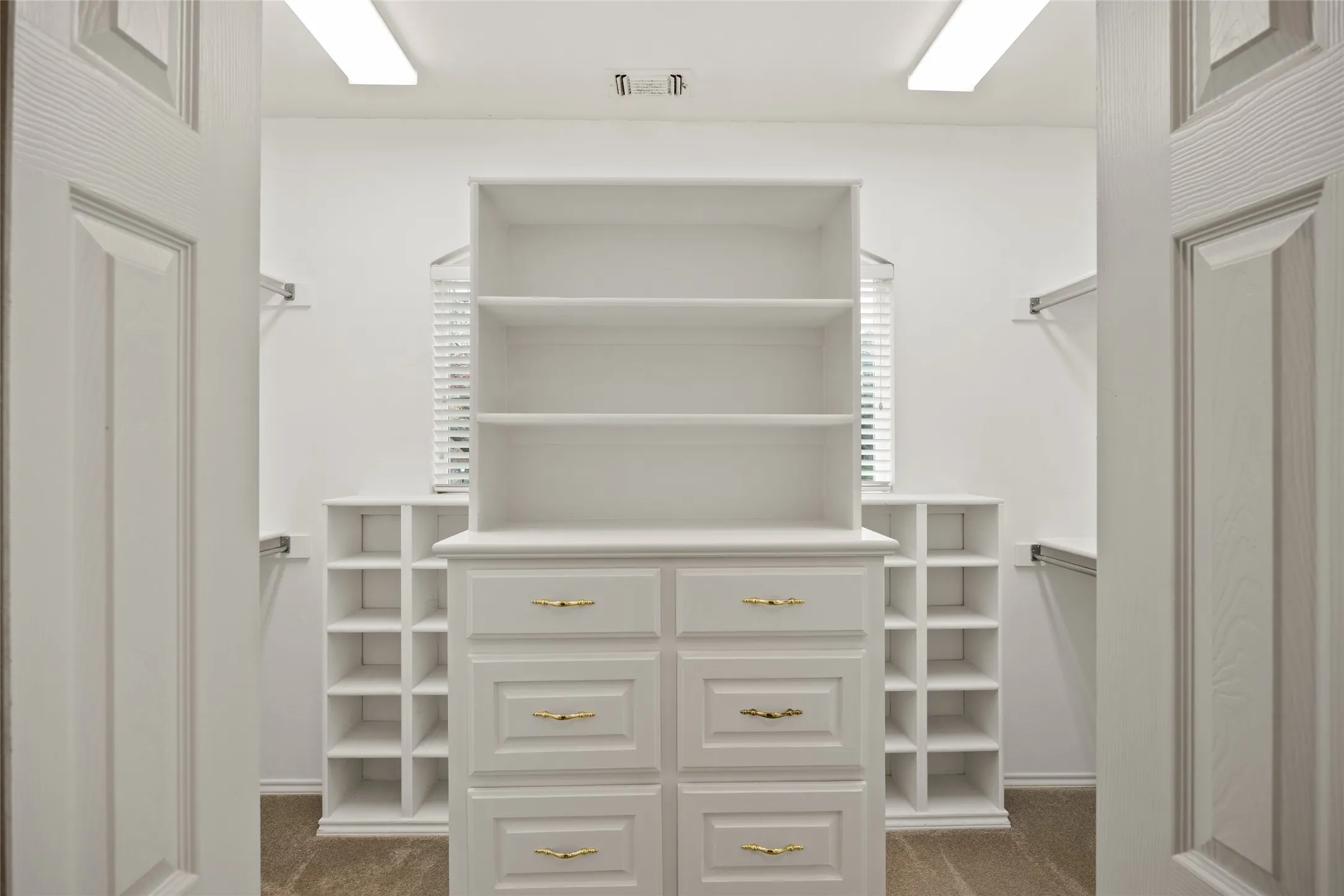 Walk in closet with dark colored carpet