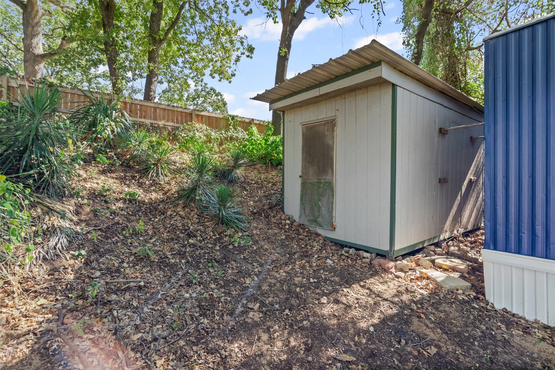 Shed with Electricity