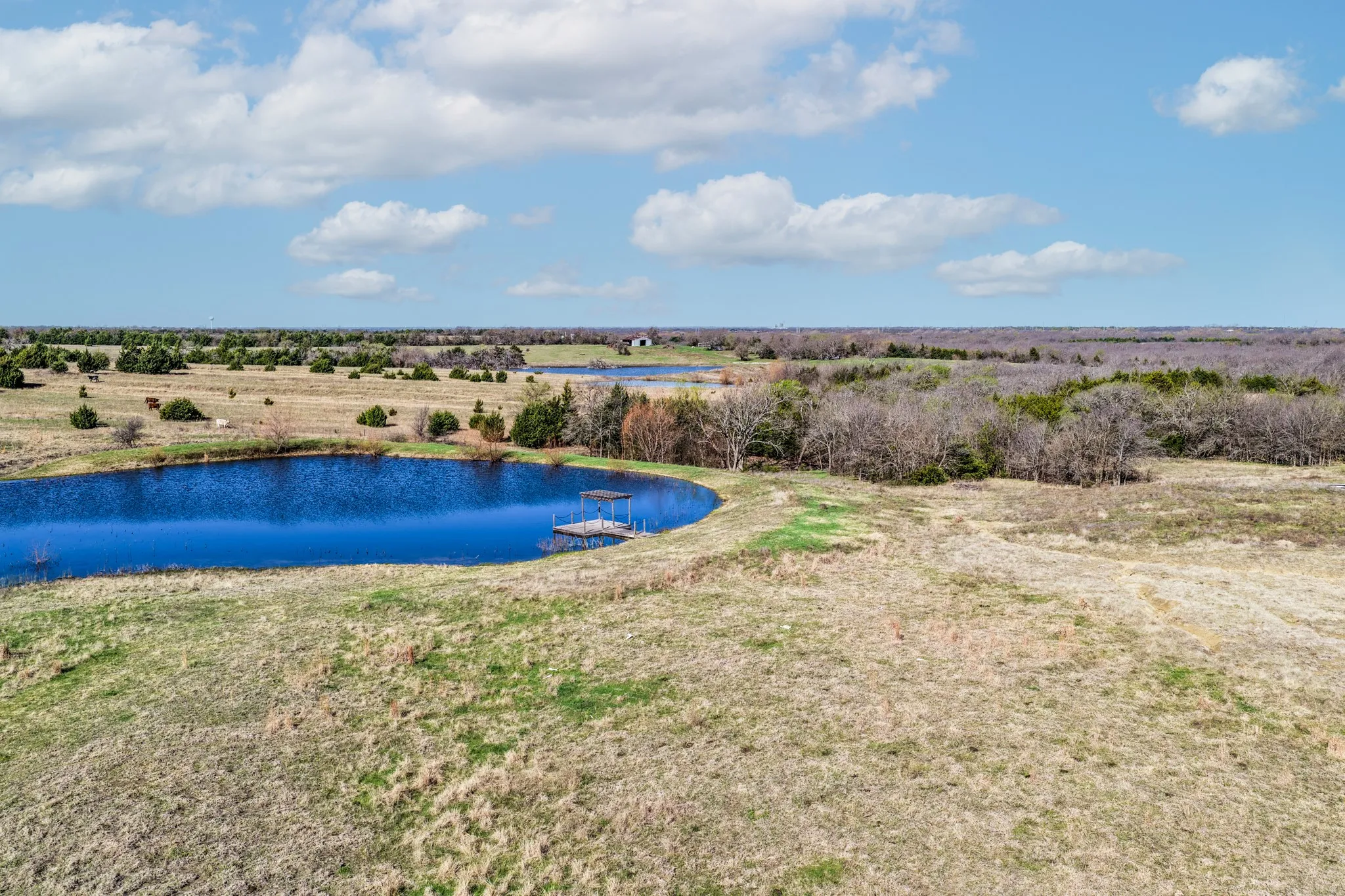 Unimproved Land For Sale in Collin County , TBD Lone Tree Road, Nevada, Texas 75173, 0, 0, Garage spaces, 0 Sqft, built in 0, Price $800,000, mls#21214017, Real Estate Agent in Nevada, Homes For Sale in Collin county, Homes For Sale in Nevada, Realtor in Nevada Texas, Real Estate Brokerage Independent Realty Texas, Luminita Cordes Realtor