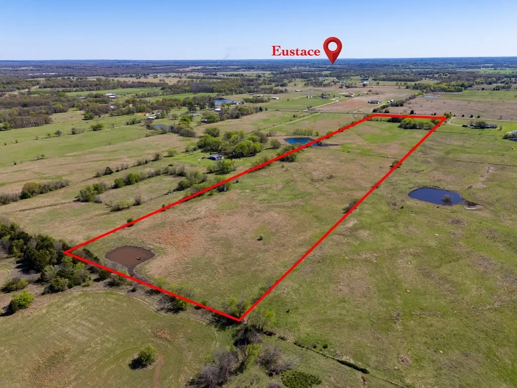 Unimproved Land For Sale in Van Zandt County , 5142 FM 3080, Mabank, Texas 75147, 0, 0, Garage spaces, 0 Sqft, built in 0, mls#21209913, Real Estate Agent in Mabank, Homes For Sale in Van Zandt county, Homes For Sale in Mabank, Realtor in Mabank Texas, Real Estate Brokerage Independent Realty Texas, Luminita Cordes Realtor