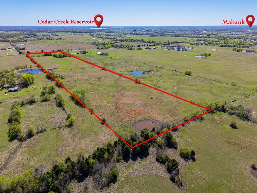 Unimproved Land For Sale in Van Zandt County , 5142 FM 3080, Mabank, Texas 75147, 0, 0, Garage spaces, 0 Sqft, built in 0, mls#21209913, Real Estate Agent in Mabank, Homes For Sale in Van Zandt county, Homes For Sale in Mabank, Realtor in Mabank Texas, Real Estate Brokerage Independent Realty Texas, Luminita Cordes Realtor