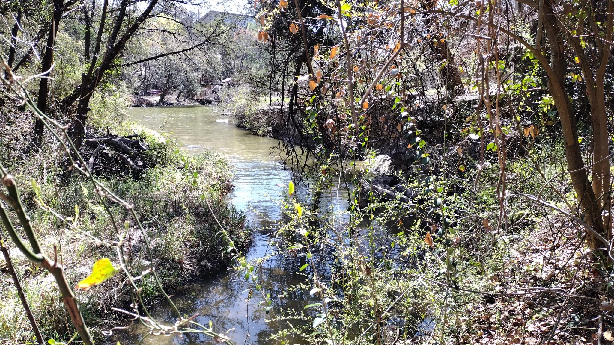 Unimproved Land For Sale in Hood County , 1011 Hidden Cove Trail, Granbury, Texas 76049, 0, 0, Garage spaces, 0 Sqft, built in 0, Price $59,000, mls#21206562, Real Estate Agent in Granbury, Homes For Sale in Hood county, Homes For Sale in Granbury, Realtor in Granbury Texas, Real Estate Brokerage Independent Realty Texas, Luminita Cordes Realtor