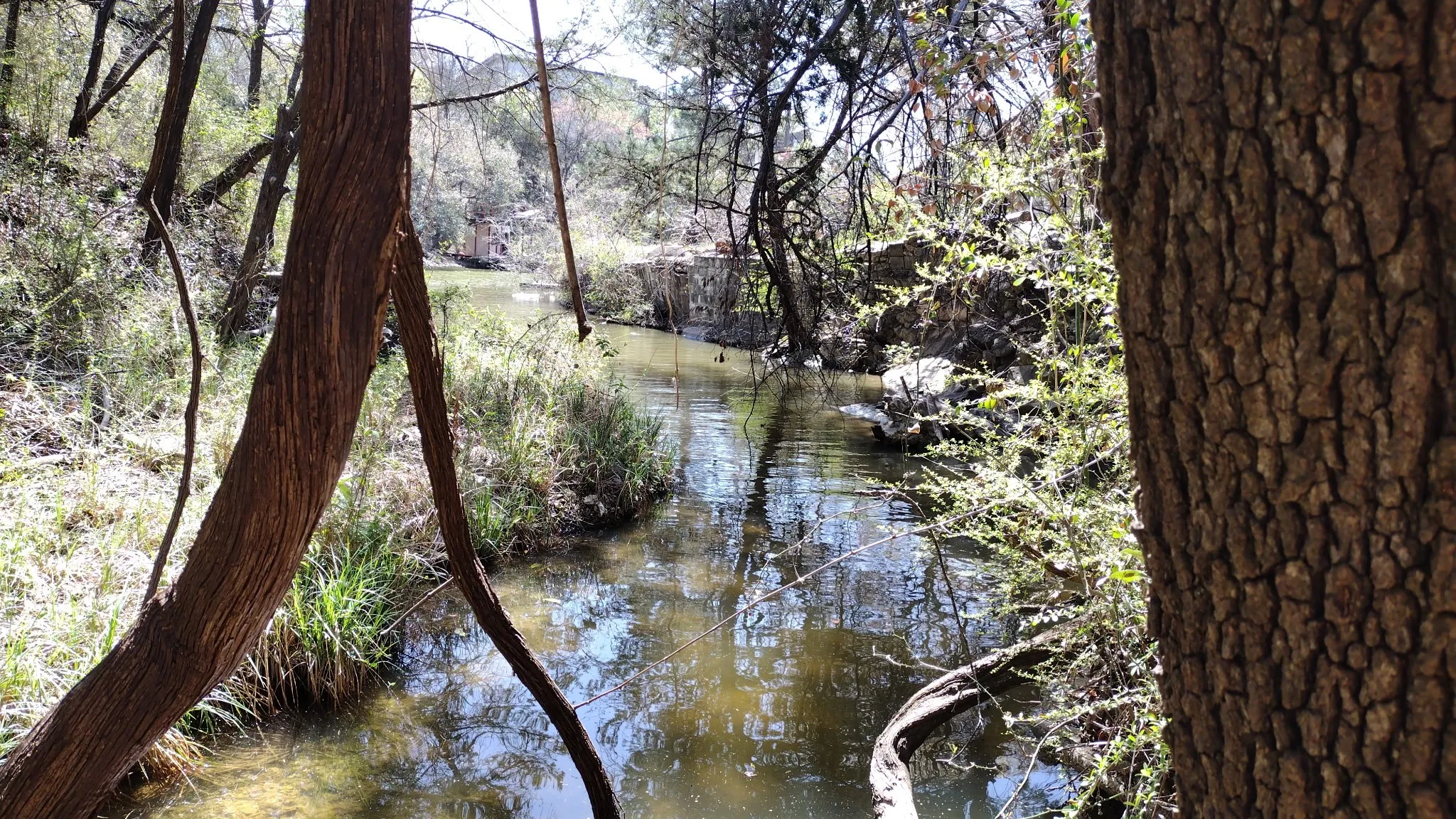Unimproved Land For Sale in Hood County , 1011 Hidden Cove Trail, Granbury, Texas 76049, 0, 0, Garage spaces, 0 Sqft, built in 0, Price $59,000, mls#21206562, Real Estate Agent in Granbury, Homes For Sale in Hood county, Homes For Sale in Granbury, Realtor in Granbury Texas, Real Estate Brokerage Independent Realty Texas, Luminita Cordes Realtor