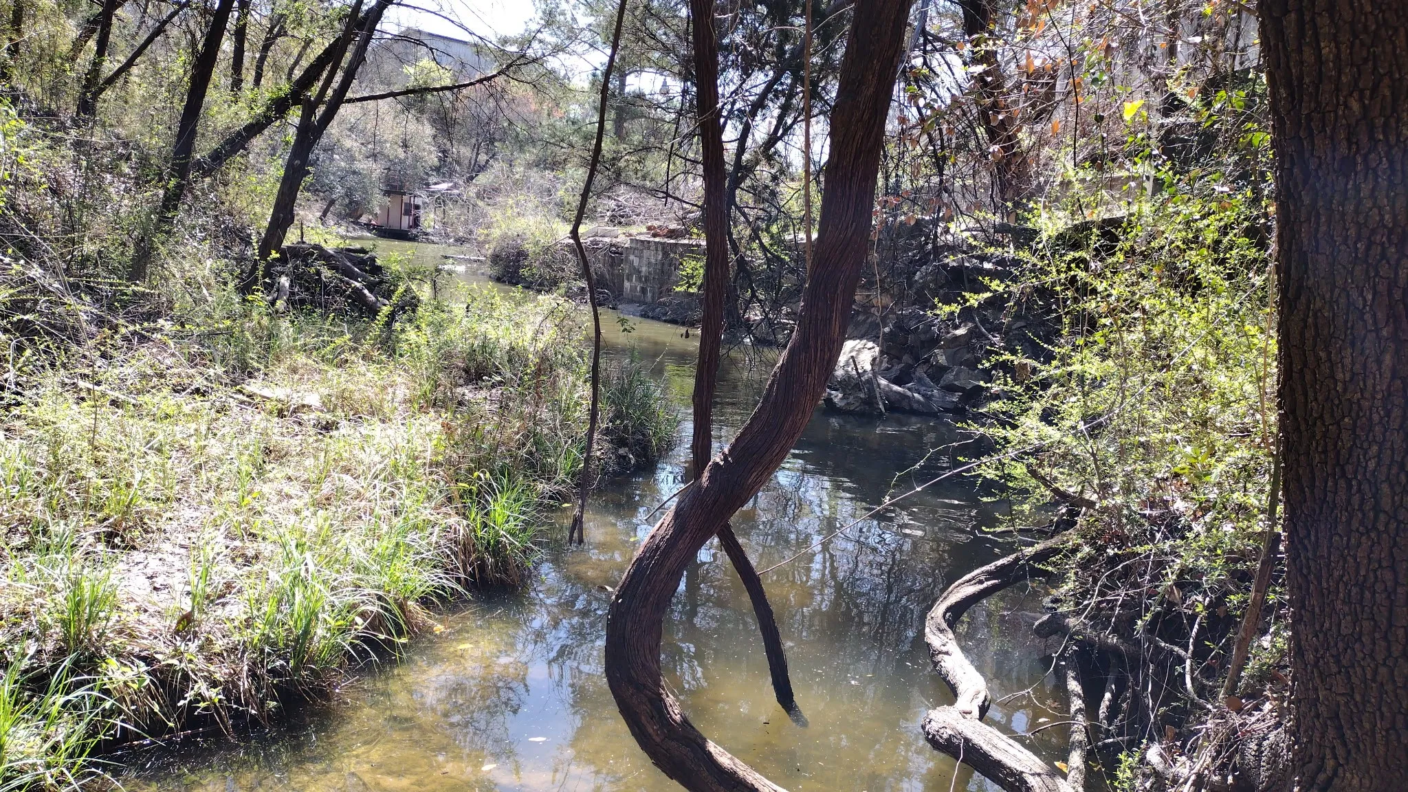 Unimproved Land For Sale in Hood County , 1011 Hidden Cove Trail, Granbury, Texas 76049, 0, 0, Garage spaces, 0 Sqft, built in 0, Price $59,000, mls#21206562, Real Estate Agent in Granbury, Homes For Sale in Hood county, Homes For Sale in Granbury, Realtor in Granbury Texas, Real Estate Brokerage Independent Realty Texas, Luminita Cordes Realtor