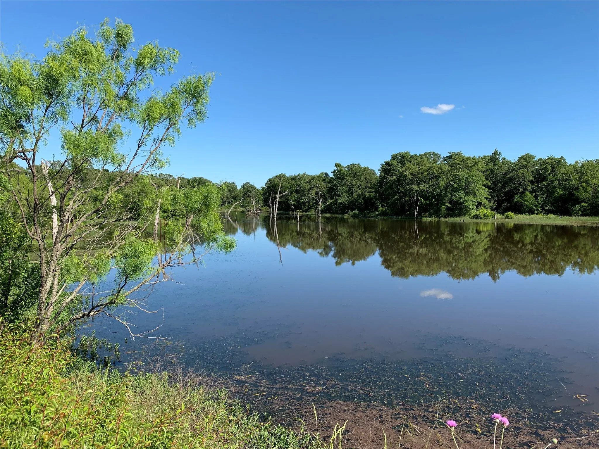 Lake view