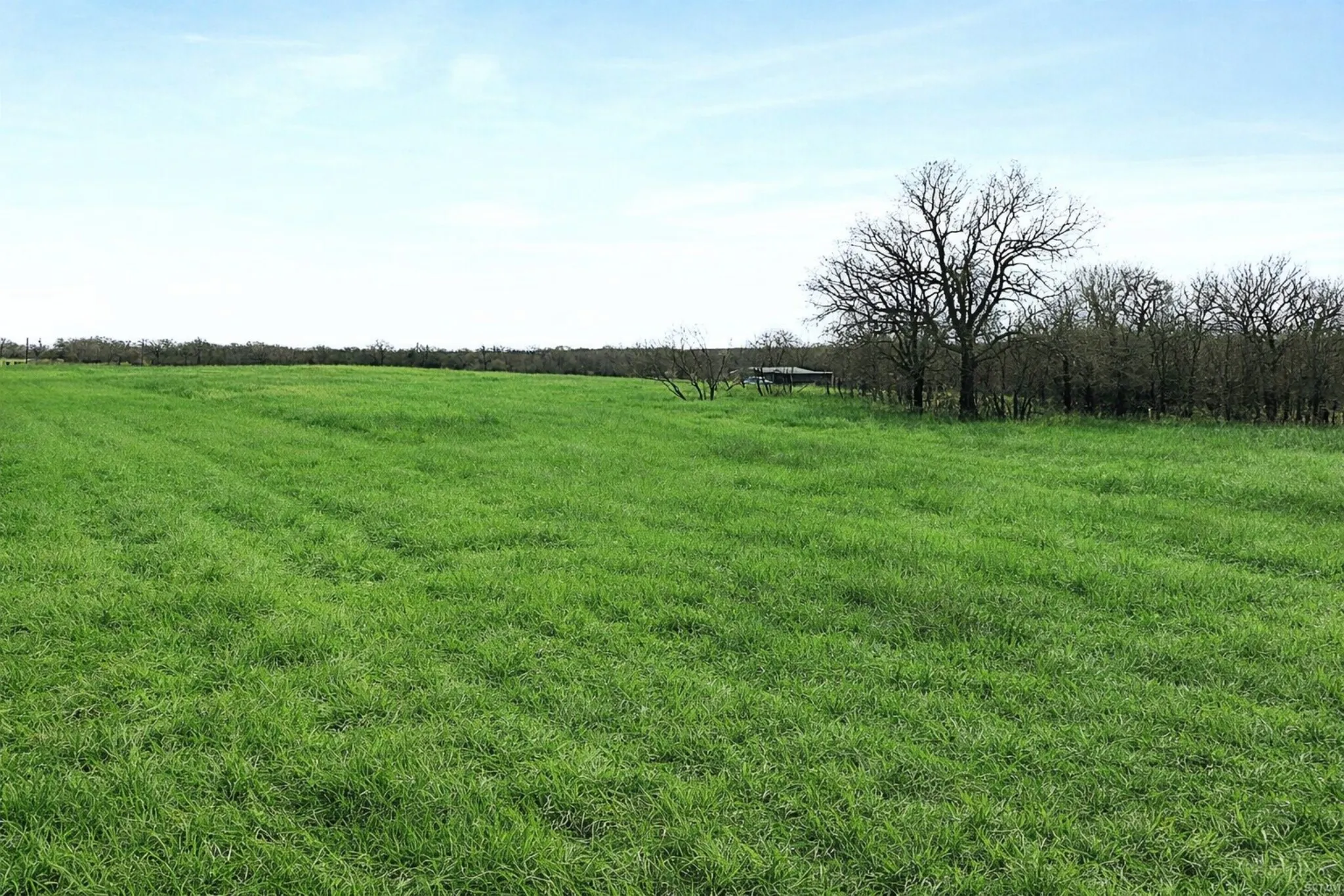 Land picture from the front back of the