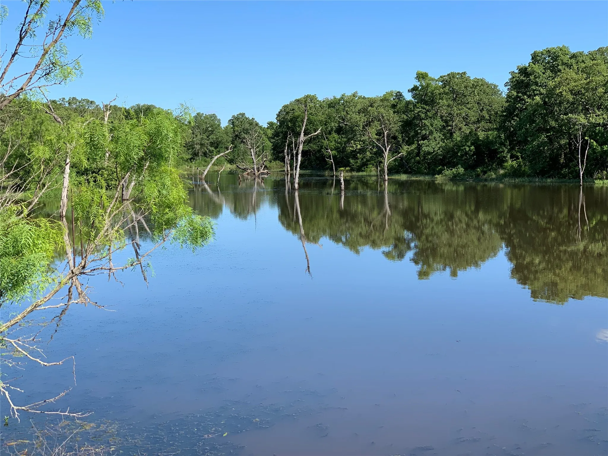 Lake view