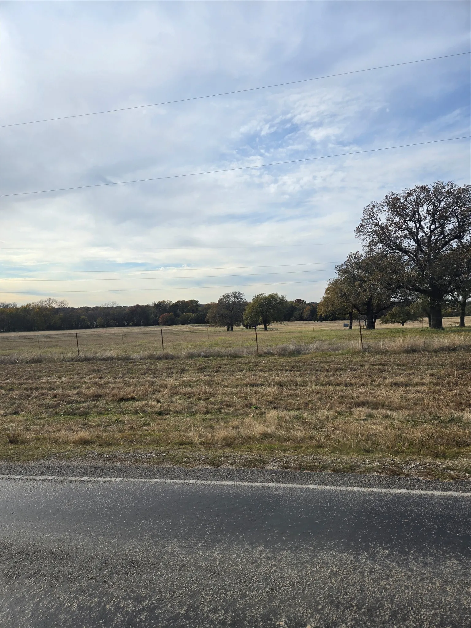 Unimproved Land For Sale in Wise County , TBD3 N Fm 730, Decatur, Texas 76234, 0, 0, Garage spaces, 0 Sqft, built in 1992, mls#21212658, Real Estate Agent in Decatur, Homes For Sale in Wise county, Homes For Sale in Decatur, Realtor in Decatur Texas, Real Estate Brokerage Independent Realty Texas, Luminita Cordes Realtor