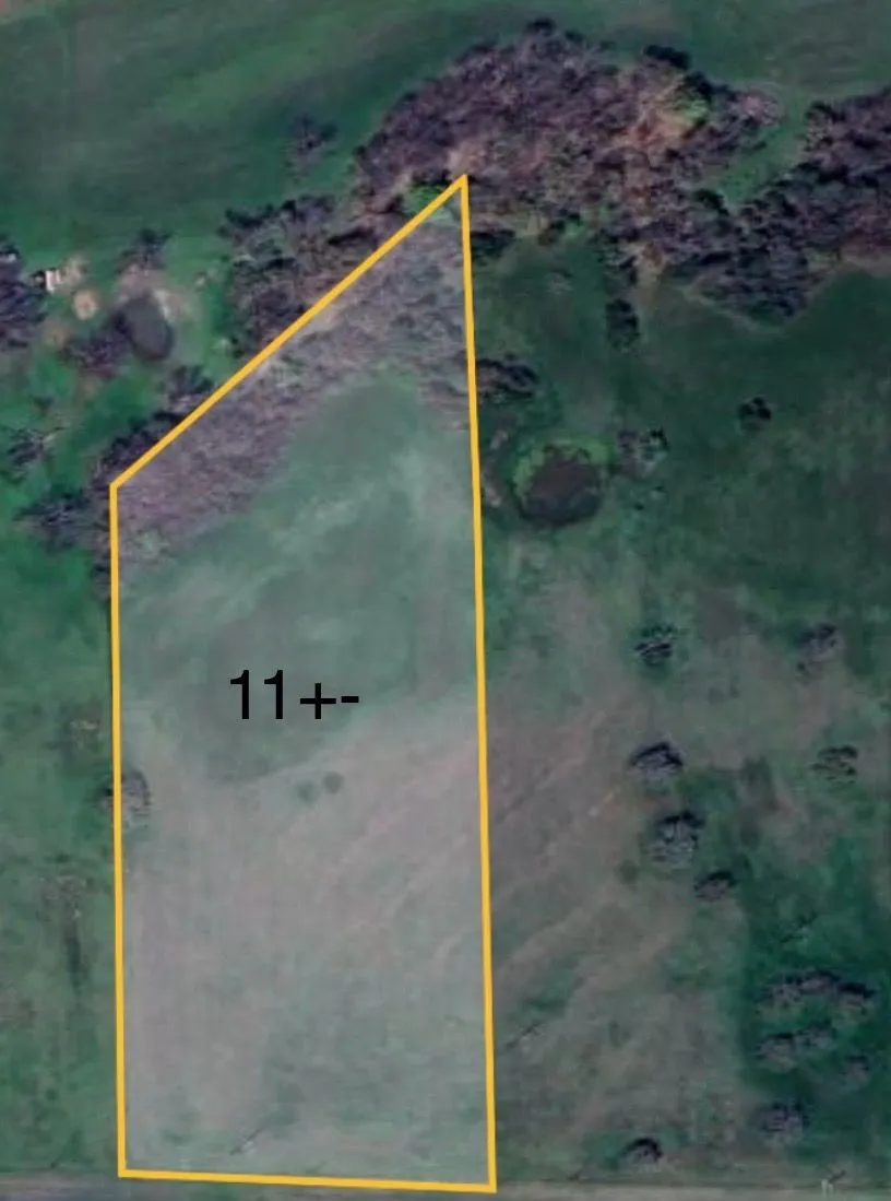 Unimproved Land For Sale in Wise County , TBD3 N Fm 730, Decatur, Texas 76234, 0, 0, Garage spaces, 0 Sqft, built in 1992, mls#21212658, Real Estate Agent in Decatur, Homes For Sale in Wise county, Homes For Sale in Decatur, Realtor in Decatur Texas, Real Estate Brokerage Independent Realty Texas, Luminita Cordes Realtor