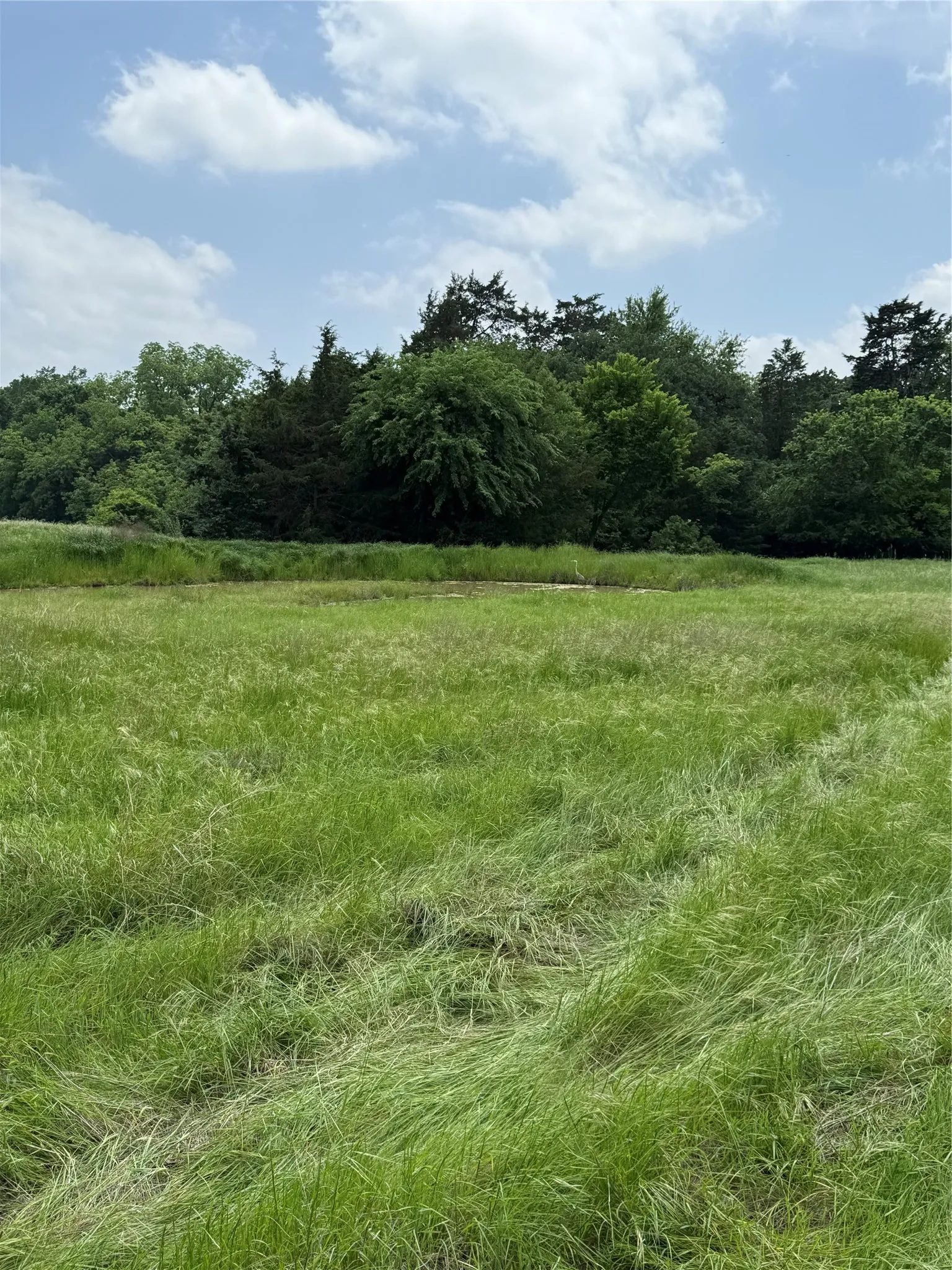 Unimproved Land For Sale in Wise County , TBD3 N Fm 730, Decatur, Texas 76234, 0, 0, Garage spaces, 0 Sqft, built in 1992, mls#21212658, Real Estate Agent in Decatur, Homes For Sale in Wise county, Homes For Sale in Decatur, Realtor in Decatur Texas, Real Estate Brokerage Independent Realty Texas, Luminita Cordes Realtor