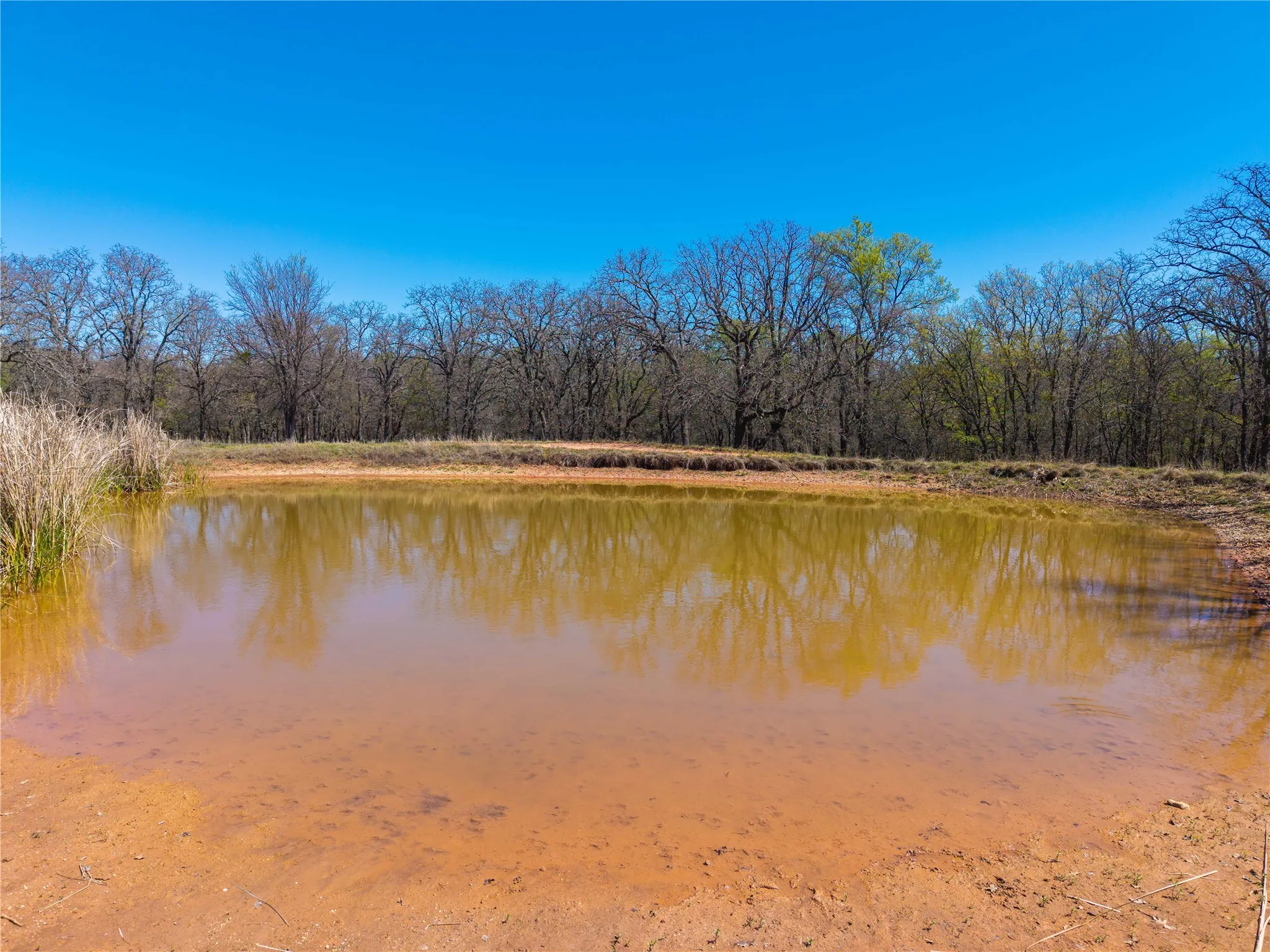 Improved Land For Sale in Comanche County , 209 CR 464, De Leon, Texas 76444, 0, 0, Garage spaces, 0 Sqft, built in 0, Price $220,000, mls#21214175, Real Estate Agent in De Leon, Homes For Sale in Comanche county, Homes For Sale in De Leon, Realtor in De Leon Texas, Real Estate Brokerage Independent Realty Texas, Luminita Cordes Realtor