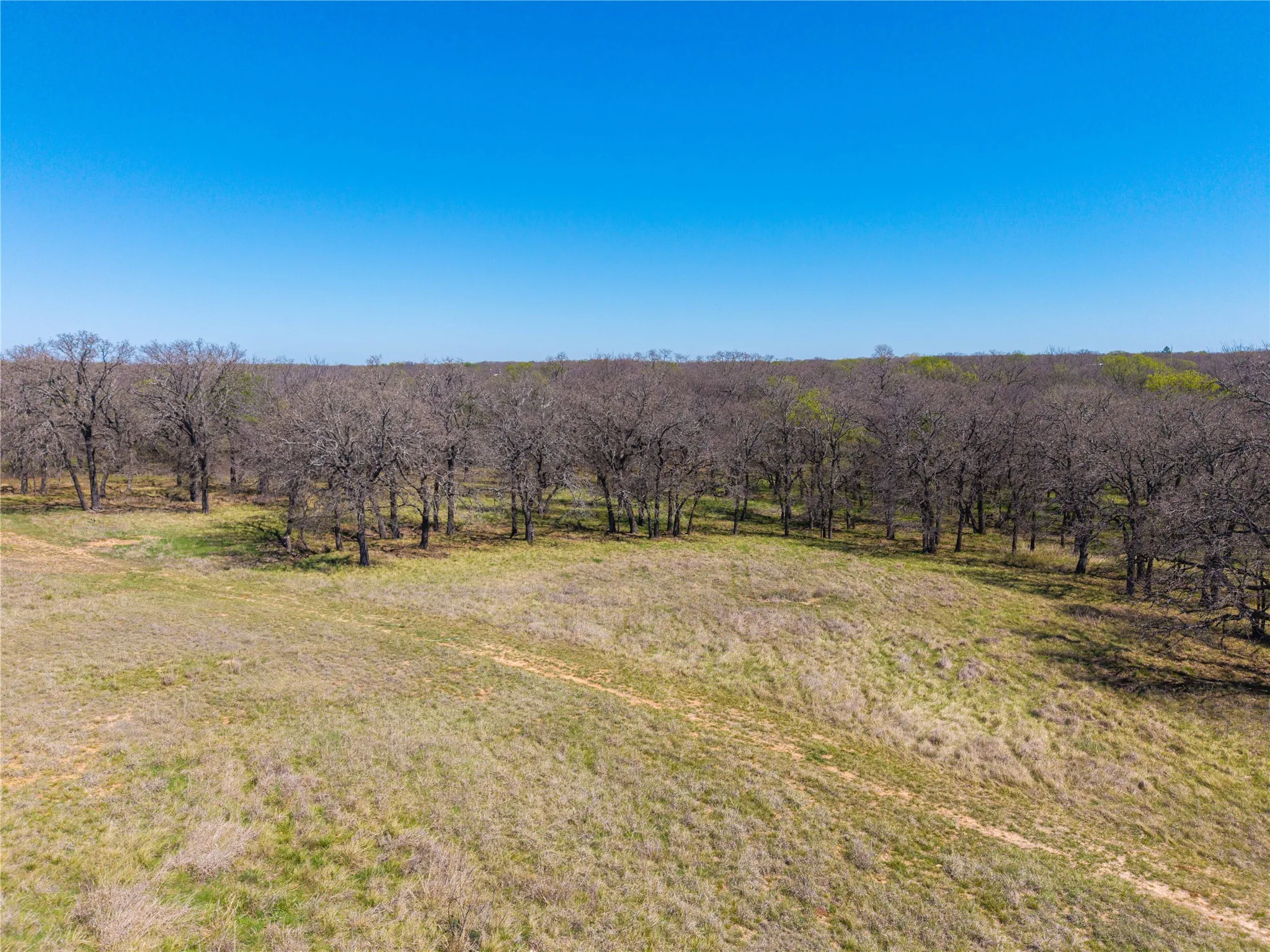 Improved Land For Sale in Comanche County , 209 CR 464, De Leon, Texas 76444, 0, 0, Garage spaces, 0 Sqft, built in 0, Price $220,000, mls#21214175, Real Estate Agent in De Leon, Homes For Sale in Comanche county, Homes For Sale in De Leon, Realtor in De Leon Texas, Real Estate Brokerage Independent Realty Texas, Luminita Cordes Realtor
