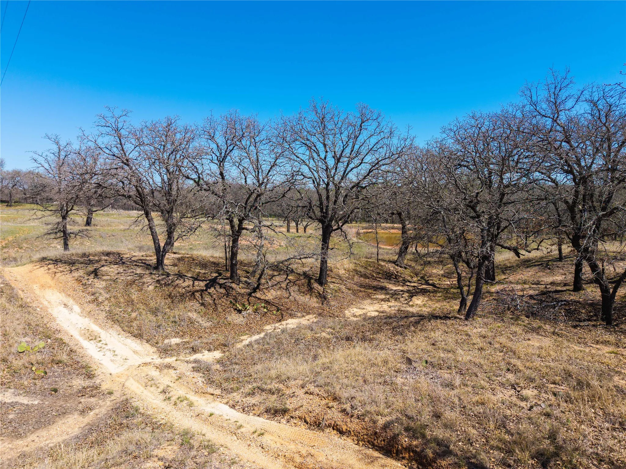Improved Land For Sale in Comanche County , 209 CR 464, De Leon, Texas 76444, 0, 0, Garage spaces, 0 Sqft, built in 0, Price $220,000, mls#21214175, Real Estate Agent in De Leon, Homes For Sale in Comanche county, Homes For Sale in De Leon, Realtor in De Leon Texas, Real Estate Brokerage Independent Realty Texas, Luminita Cordes Realtor