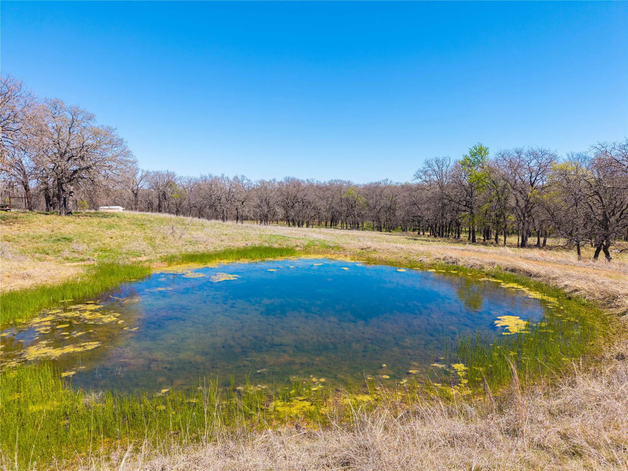 Improved Land For Sale in Comanche County , 209 CR 464, De Leon, Texas 76444, 0, 0, Garage spaces, 0 Sqft, built in 0, Price $220,000, mls#21214175, Real Estate Agent in De Leon, Homes For Sale in Comanche county, Homes For Sale in De Leon, Realtor in De Leon Texas, Real Estate Brokerage Independent Realty Texas, Luminita Cordes Realtor