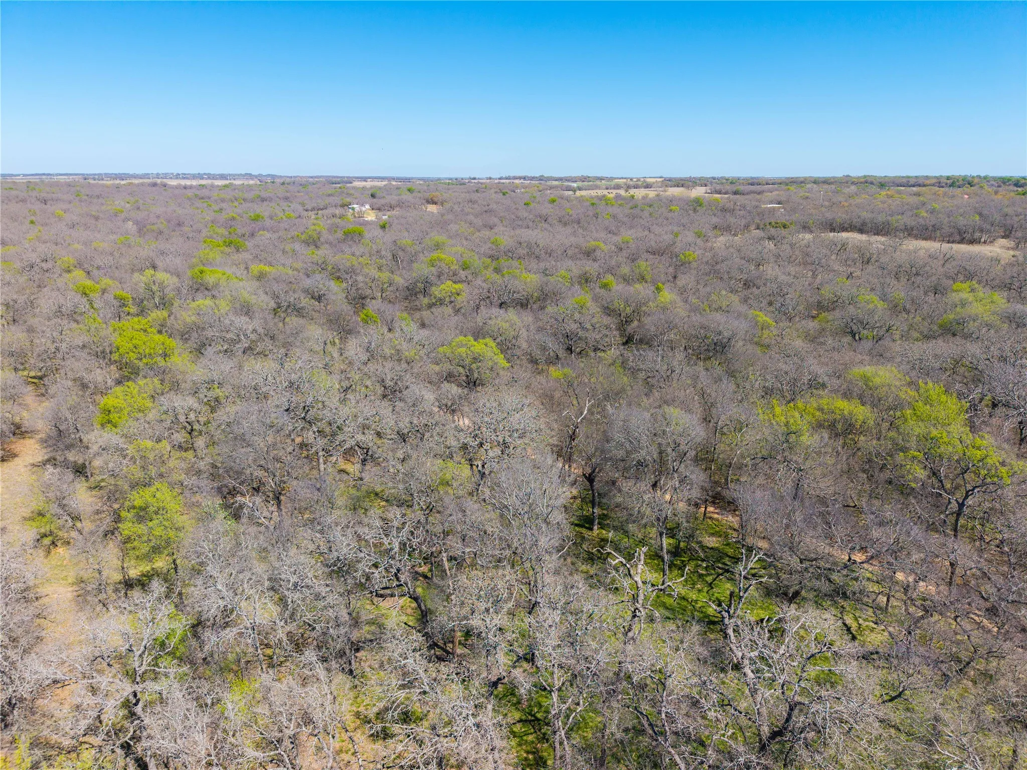 Improved Land For Sale in Comanche County , 209 CR 464, De Leon, Texas 76444, 0, 0, Garage spaces, 0 Sqft, built in 0, Price $220,000, mls#21214175, Real Estate Agent in De Leon, Homes For Sale in Comanche county, Homes For Sale in De Leon, Realtor in De Leon Texas, Real Estate Brokerage Independent Realty Texas, Luminita Cordes Realtor