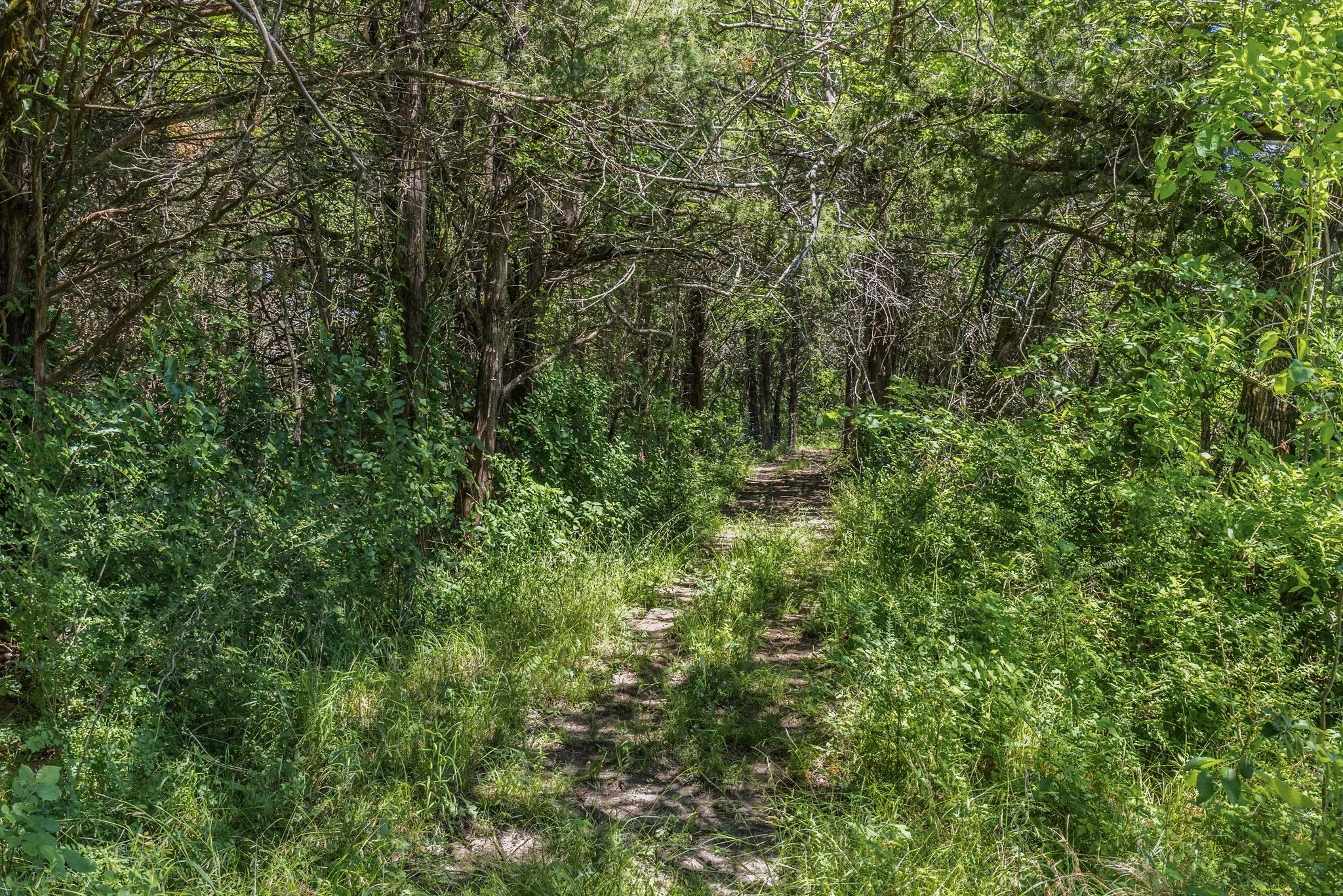 Trails