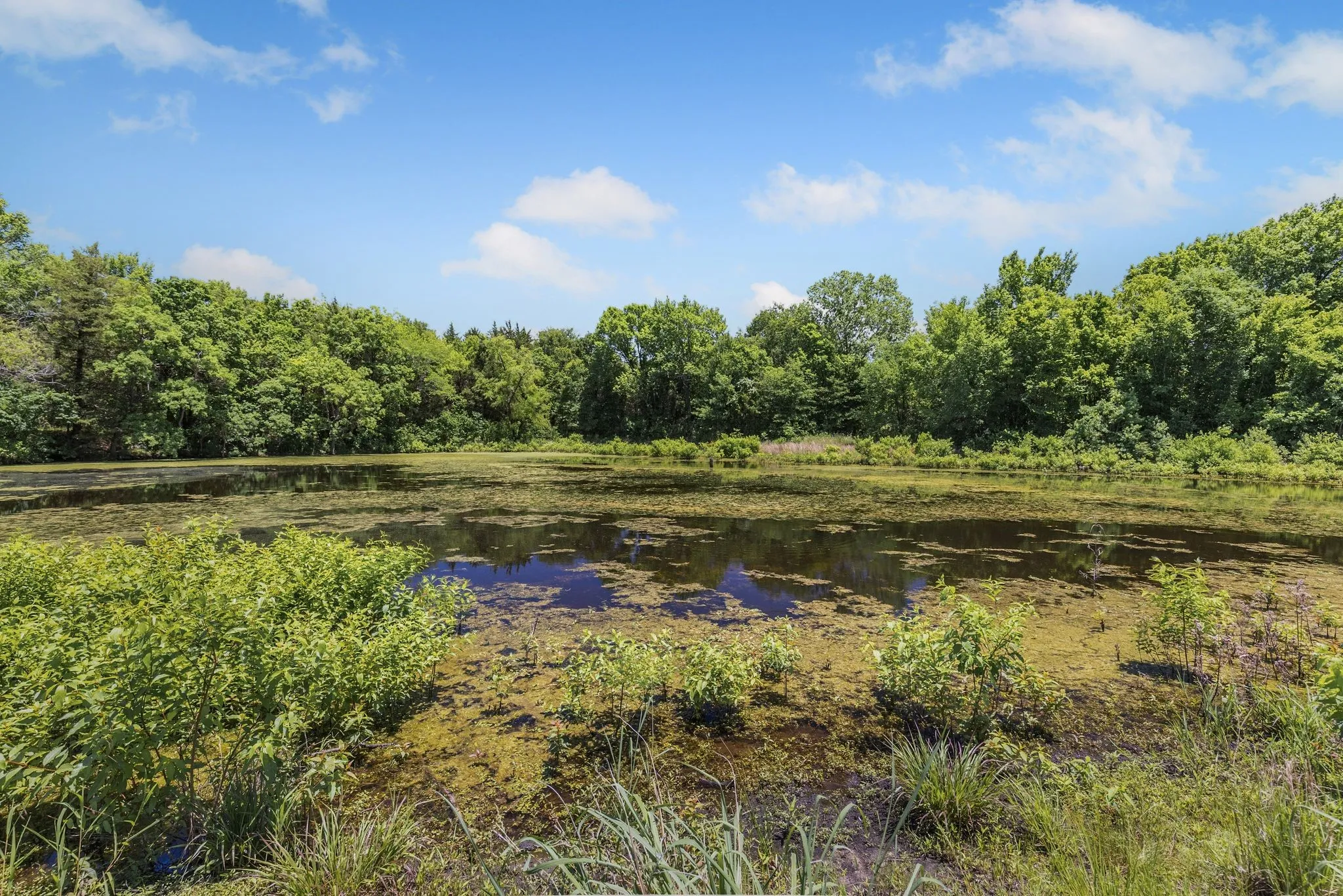 Ground view of pond!