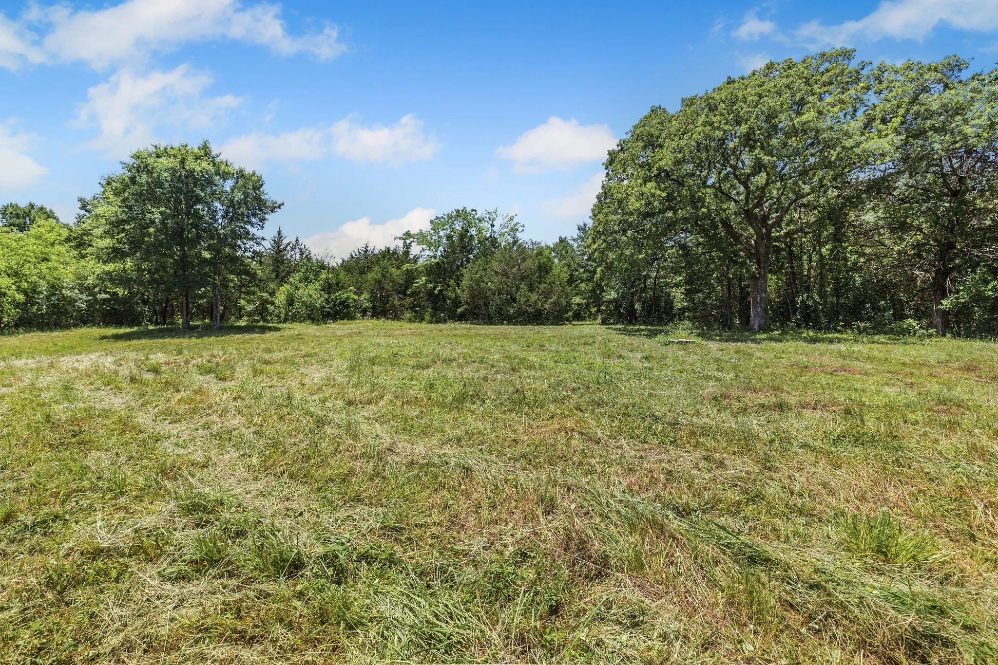 Beautiful open area overlooking the large pond!