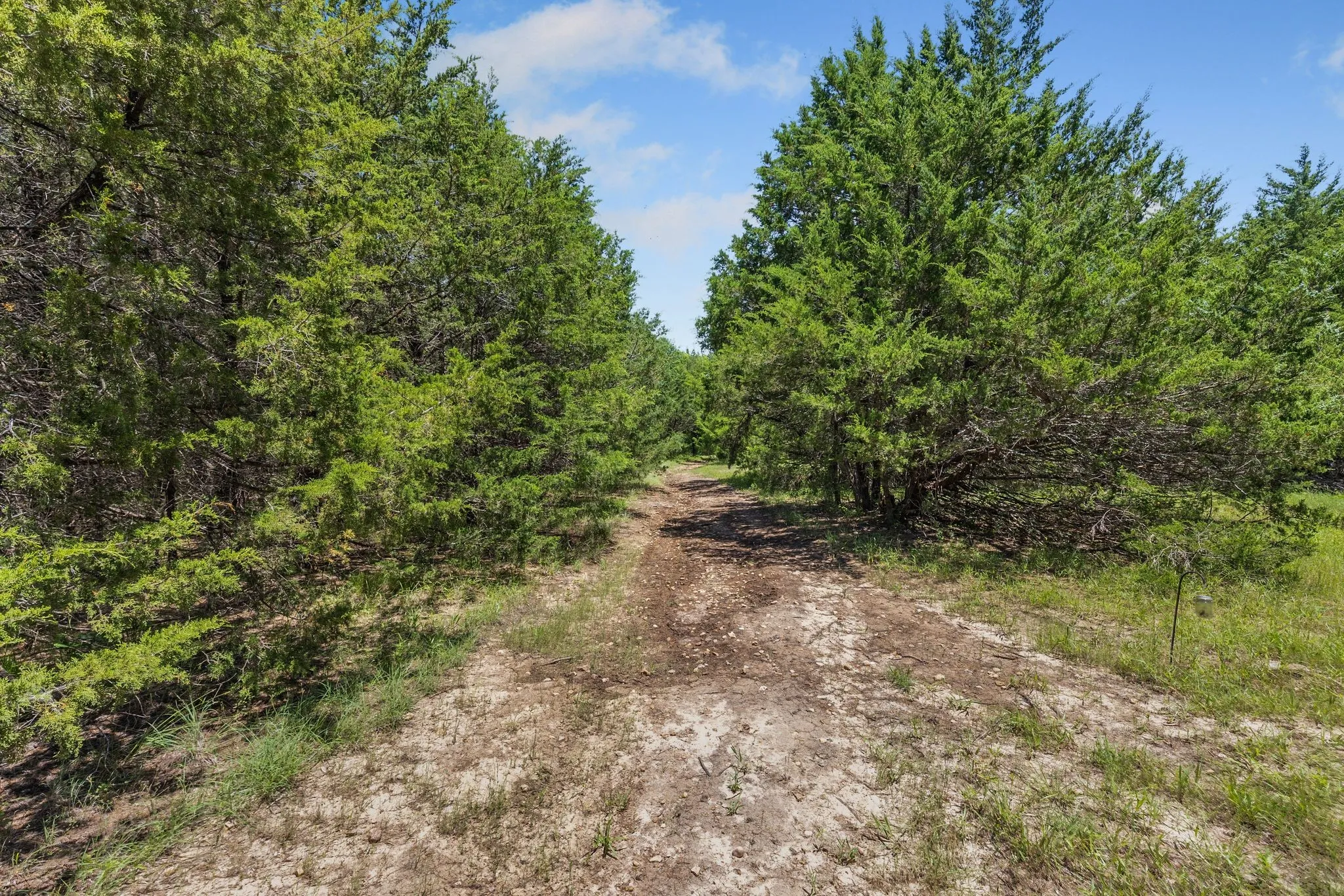 Trail leading to large pond!
