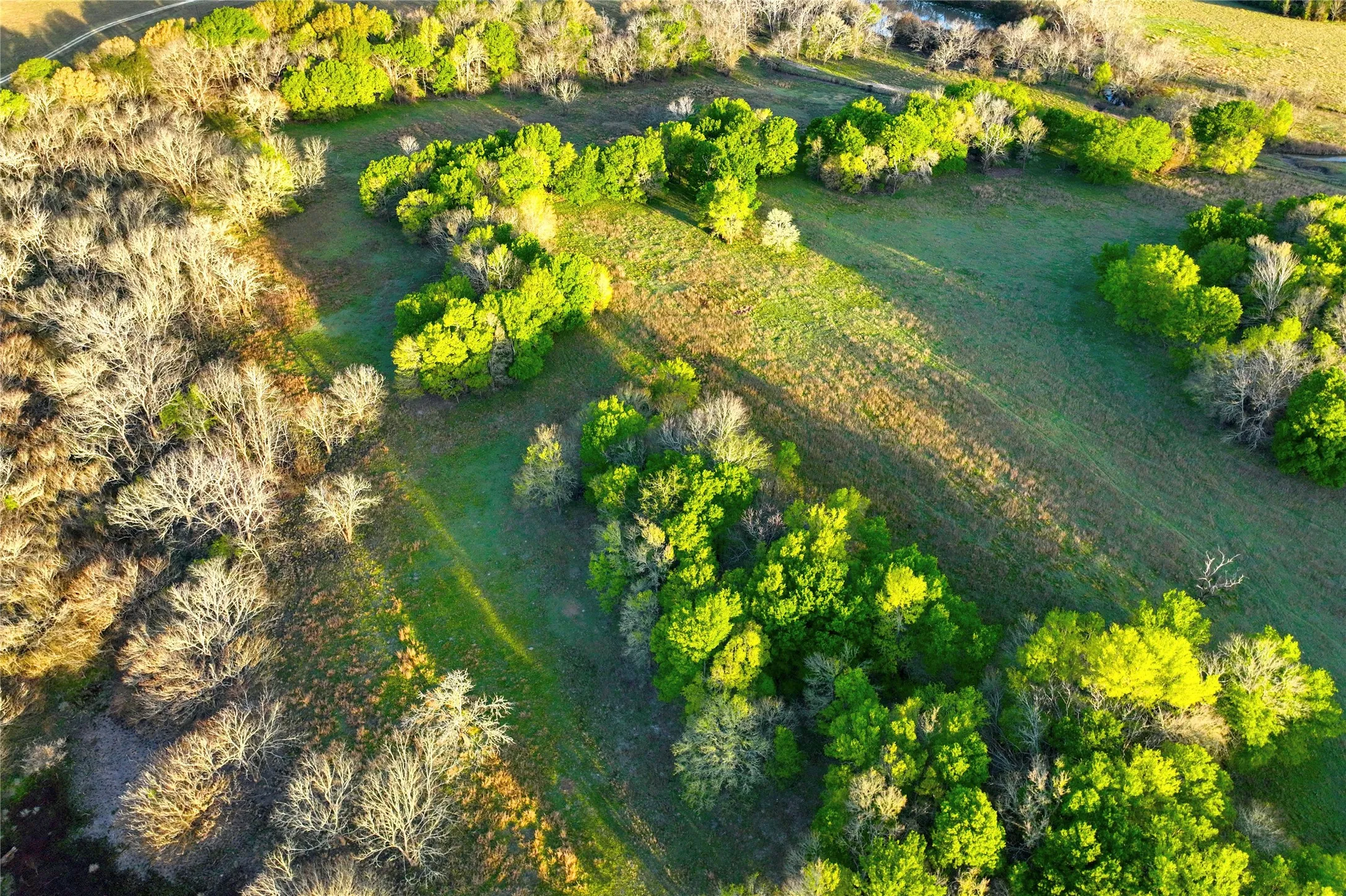 Unimproved Land For Sale in Leon County , none c.r. 386, Marquez, Texas 77865, 0, 0, Garage spaces, 0 Sqft, built in 0, Price $125,000, mls#21213664, Real Estate Agent in Marquez, Homes For Sale in Leon county, Homes For Sale in Marquez, Realtor in Marquez Texas, Real Estate Brokerage Independent Realty Texas, Luminita Cordes Realtor