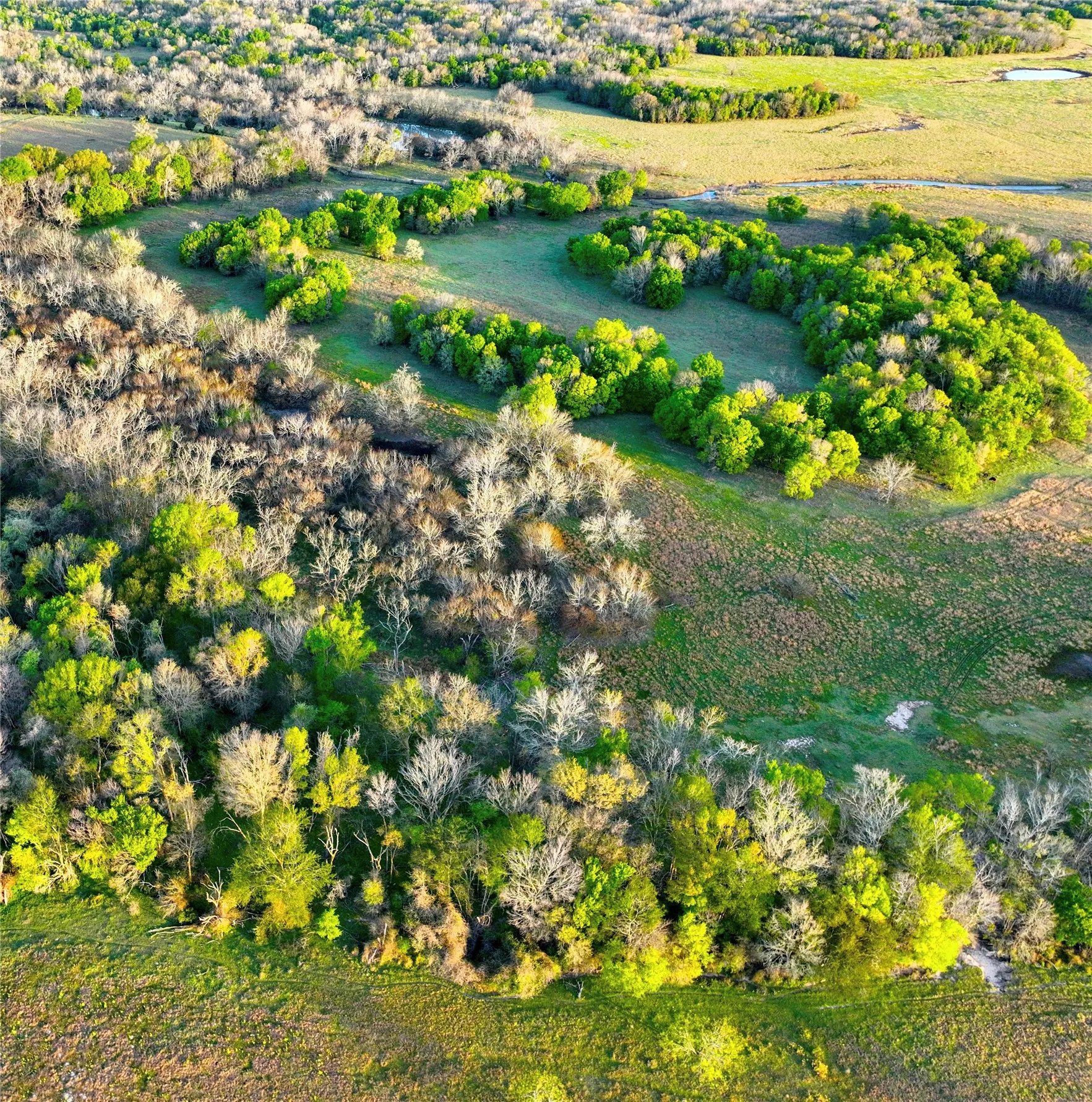 Unimproved Land For Sale in Leon County , none tbd C.R. 386, Marquez, Texas 77865, 0, 0, Garage spaces, 0 Sqft, built in 0, Price $150,000, mls#21213599, Real Estate Agent in Marquez, Homes For Sale in Leon county, Homes For Sale in Marquez, Realtor in Marquez Texas, Real Estate Brokerage Independent Realty Texas, Luminita Cordes Realtor