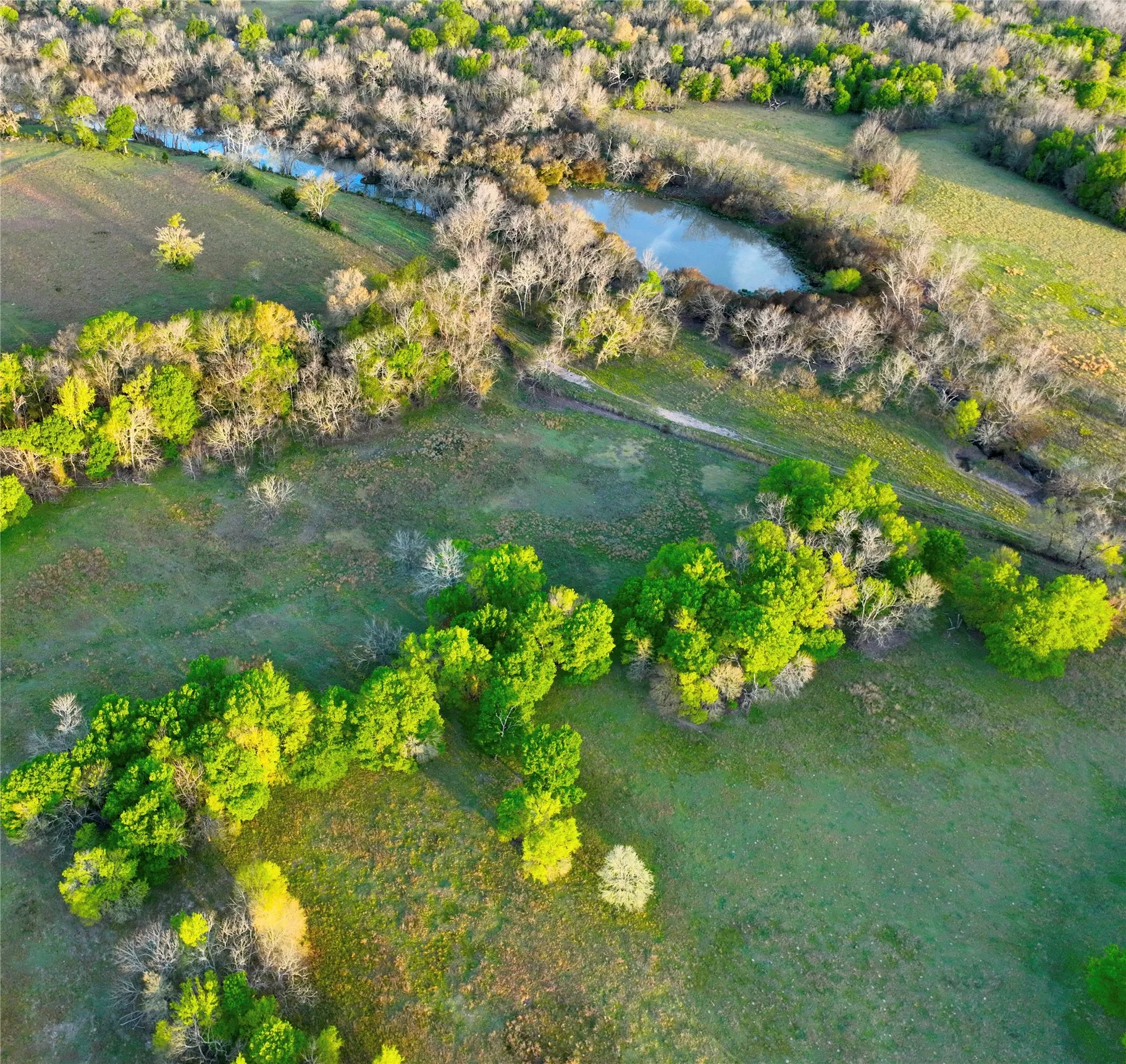 Unimproved Land For Sale in Leon County , none t.b.d. C.r. 386, Marquez, Texas 77865, 0, 0, Garage spaces, 0 Sqft, built in 0, Price $150,000, mls#21213526, Real Estate Agent in Marquez, Homes For Sale in Leon county, Homes For Sale in Marquez, Realtor in Marquez Texas, Real Estate Brokerage Independent Realty Texas, Luminita Cordes Realtor