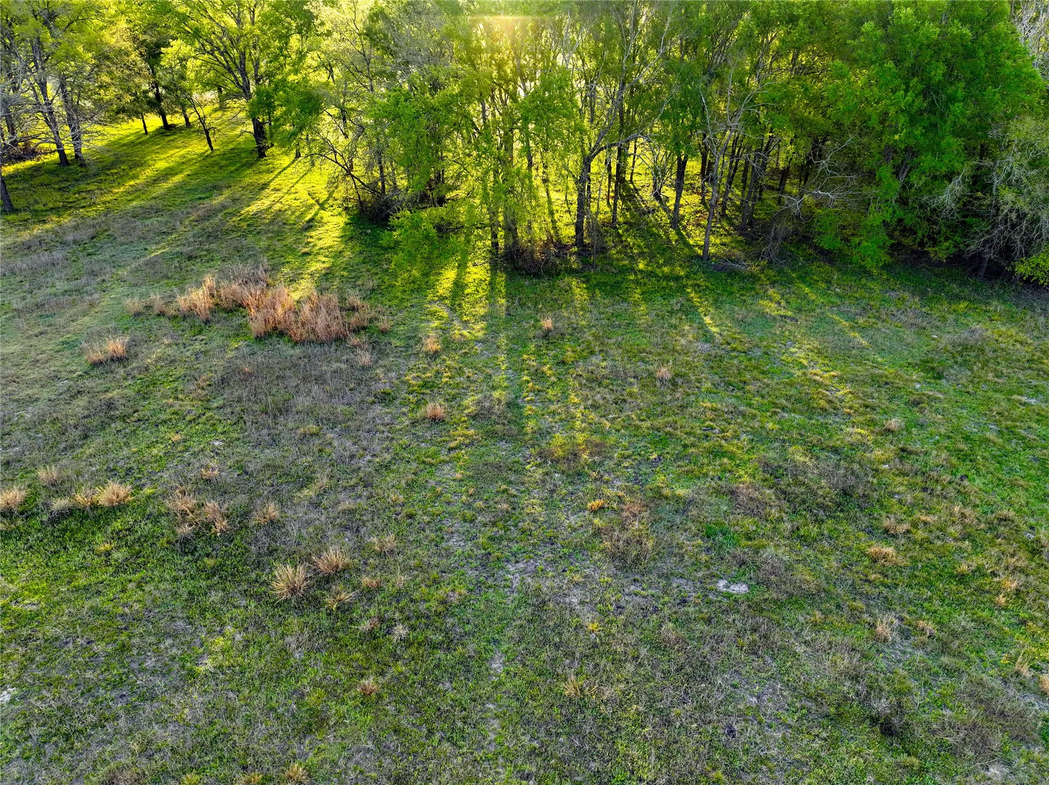 Unimproved Land For Sale in Leon County , none t.b.d. C.r. 386, Marquez, Texas 77865, 0, 0, Garage spaces, 0 Sqft, built in 0, Price $150,000, mls#21213526, Real Estate Agent in Marquez, Homes For Sale in Leon county, Homes For Sale in Marquez, Realtor in Marquez Texas, Real Estate Brokerage Independent Realty Texas, Luminita Cordes Realtor
