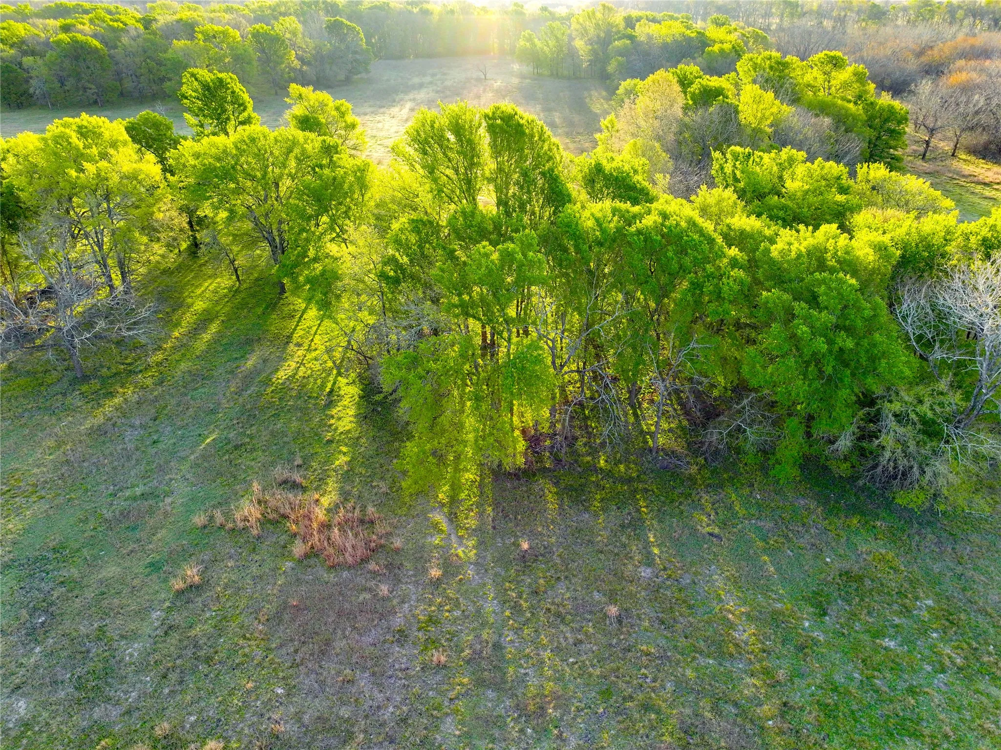 Unimproved Land For Sale in Leon County , none t.b.d. C.r. 386, Marquez, Texas 77865, 0, 0, Garage spaces, 0 Sqft, built in 0, Price $150,000, mls#21213526, Real Estate Agent in Marquez, Homes For Sale in Leon county, Homes For Sale in Marquez, Realtor in Marquez Texas, Real Estate Brokerage Independent Realty Texas, Luminita Cordes Realtor