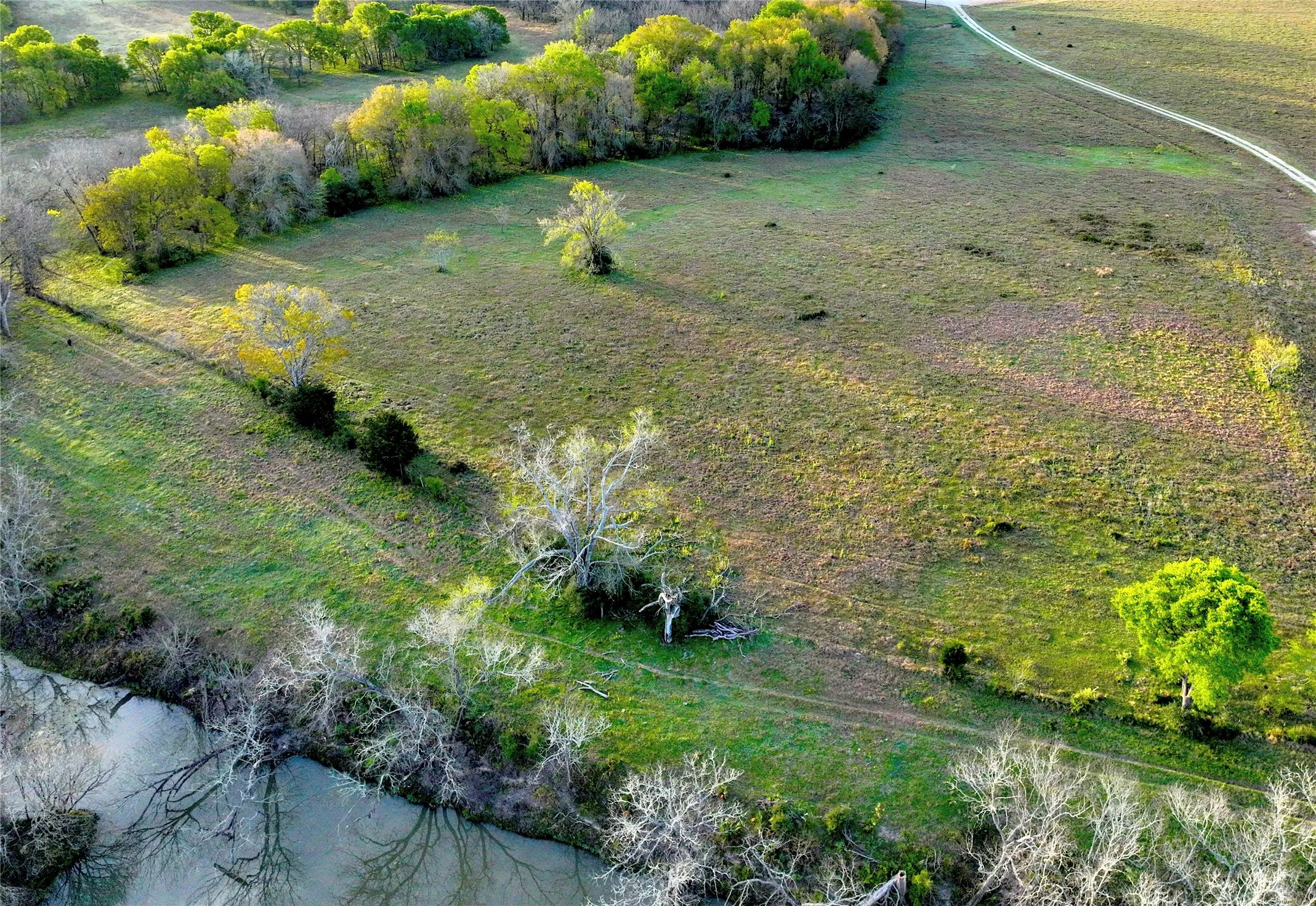 Unimproved Land For Sale in Leon County , TBD CR 386, Marquez, Texas 77865, 0, 0, Garage spaces, 0 Sqft, built in 0, mls#21213457, Real Estate Agent in Marquez, Homes For Sale in Leon county, Homes For Sale in Marquez, Realtor in Marquez Texas, Real Estate Brokerage Independent Realty Texas, Luminita Cordes Realtor