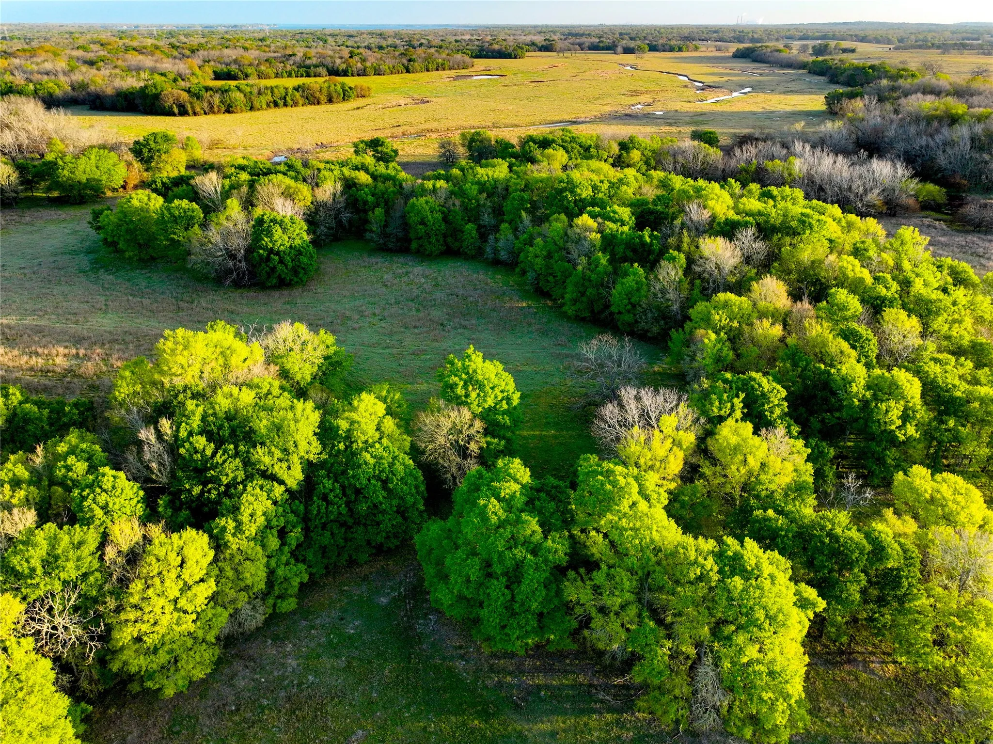 Unimproved Land For Sale in Leon County , TBD CR 386, Marquez, Texas 77865, 0, 0, Garage spaces, 0 Sqft, built in 0, mls#21213457, Real Estate Agent in Marquez, Homes For Sale in Leon county, Homes For Sale in Marquez, Realtor in Marquez Texas, Real Estate Brokerage Independent Realty Texas, Luminita Cordes Realtor