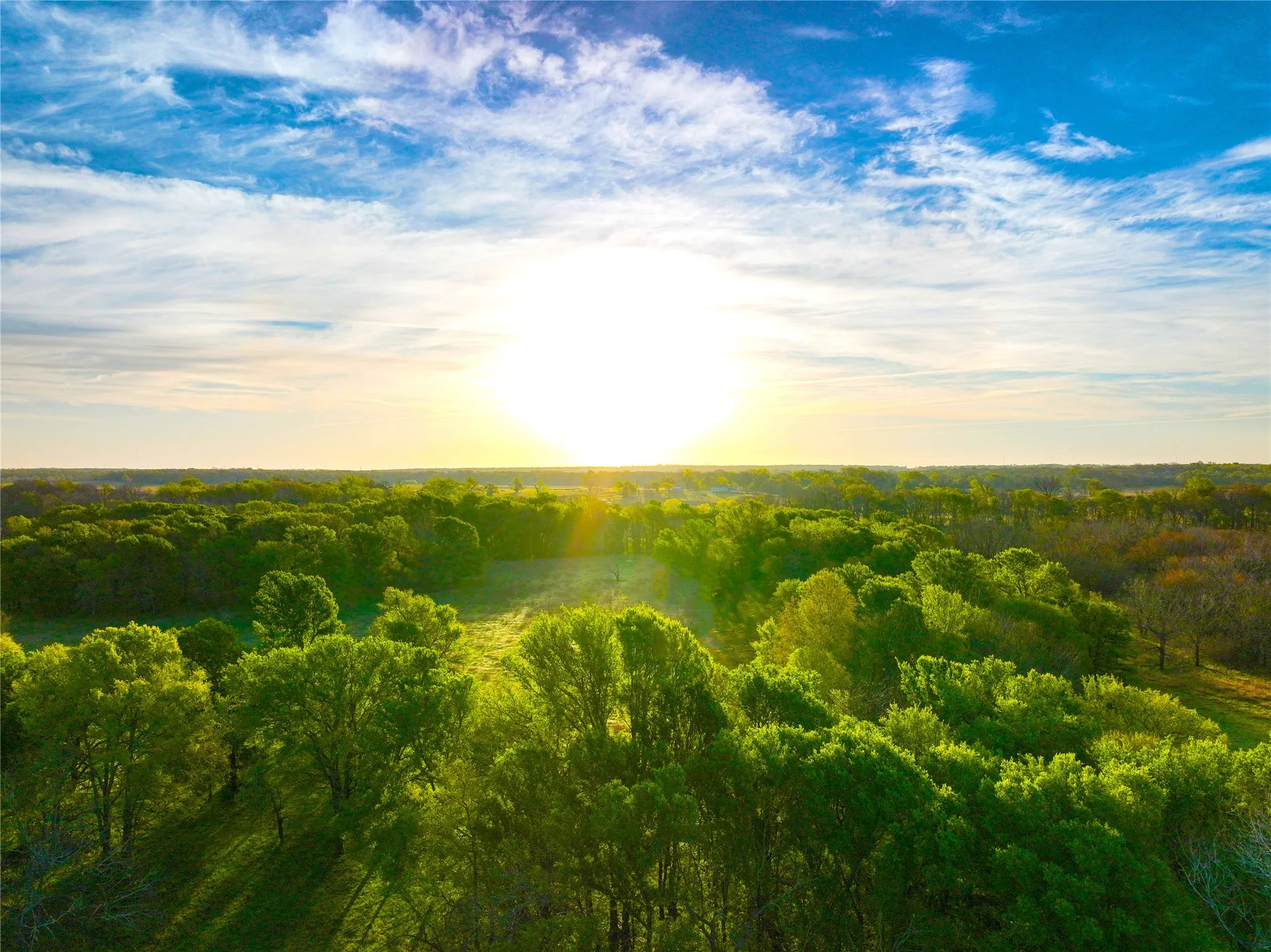 Unimproved Land For Sale in Leon County , TBD CR 386, Marquez, Texas 77865, 0, 0, Garage spaces, 0 Sqft, built in 0, mls#21213457, Real Estate Agent in Marquez, Homes For Sale in Leon county, Homes For Sale in Marquez, Realtor in Marquez Texas, Real Estate Brokerage Independent Realty Texas, Luminita Cordes Realtor