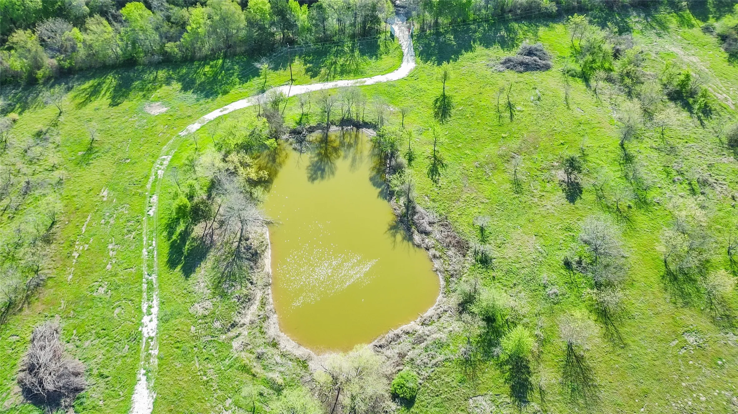 Unimproved Land For Sale in Freestone County , TBD FCR 971, Mexia, Texas 76667, 0, 0, Garage spaces, 0 Sqft, built in 0, Price $335,000, mls#21214429, Real Estate Agent in Mexia, Homes For Sale in Freestone county, Homes For Sale in Mexia, Realtor in Mexia Texas, Real Estate Brokerage Independent Realty Texas, Luminita Cordes Realtor