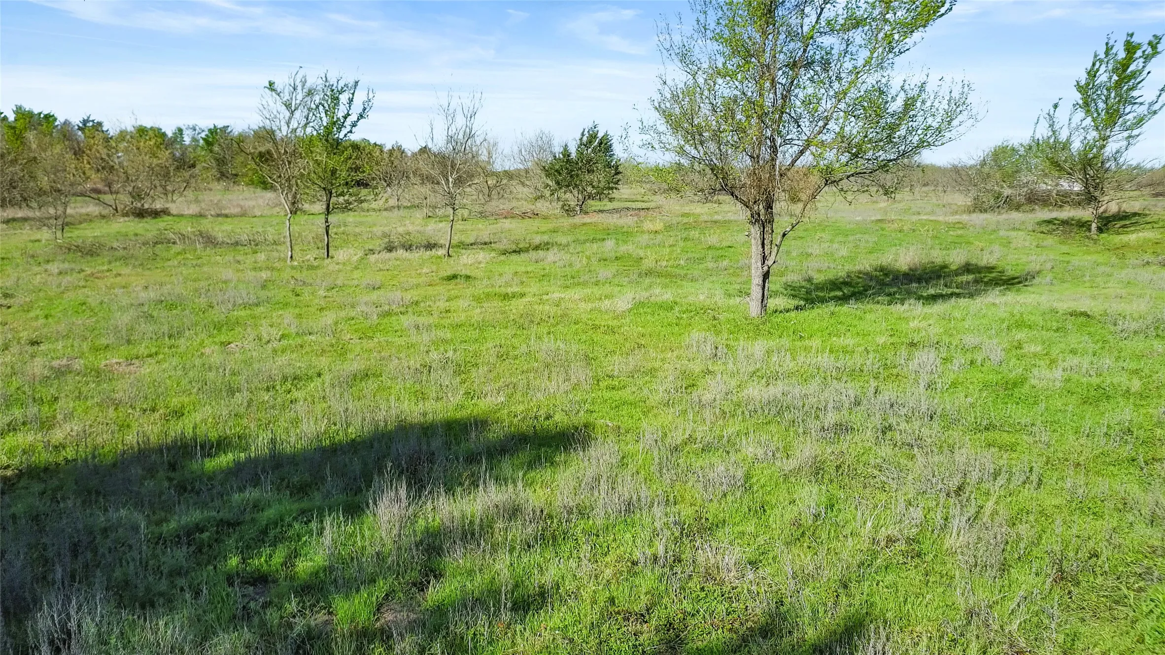 Unimproved Land For Sale in Freestone County , TBD FCR 971, Mexia, Texas 76667, 0, 0, Garage spaces, 0 Sqft, built in 0, Price $335,000, mls#21214429, Real Estate Agent in Mexia, Homes For Sale in Freestone county, Homes For Sale in Mexia, Realtor in Mexia Texas, Real Estate Brokerage Independent Realty Texas, Luminita Cordes Realtor