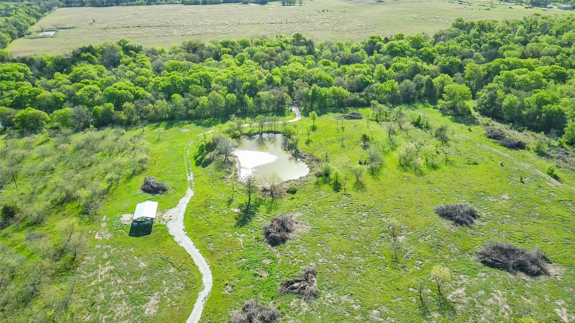 Unimproved Land For Sale in Freestone County , TBD FCR 971, Mexia, Texas 76667, 0, 0, Garage spaces, 0 Sqft, built in 0, Price $335,000, mls#21214429, Real Estate Agent in Mexia, Homes For Sale in Freestone county, Homes For Sale in Mexia, Realtor in Mexia Texas, Real Estate Brokerage Independent Realty Texas, Luminita Cordes Realtor