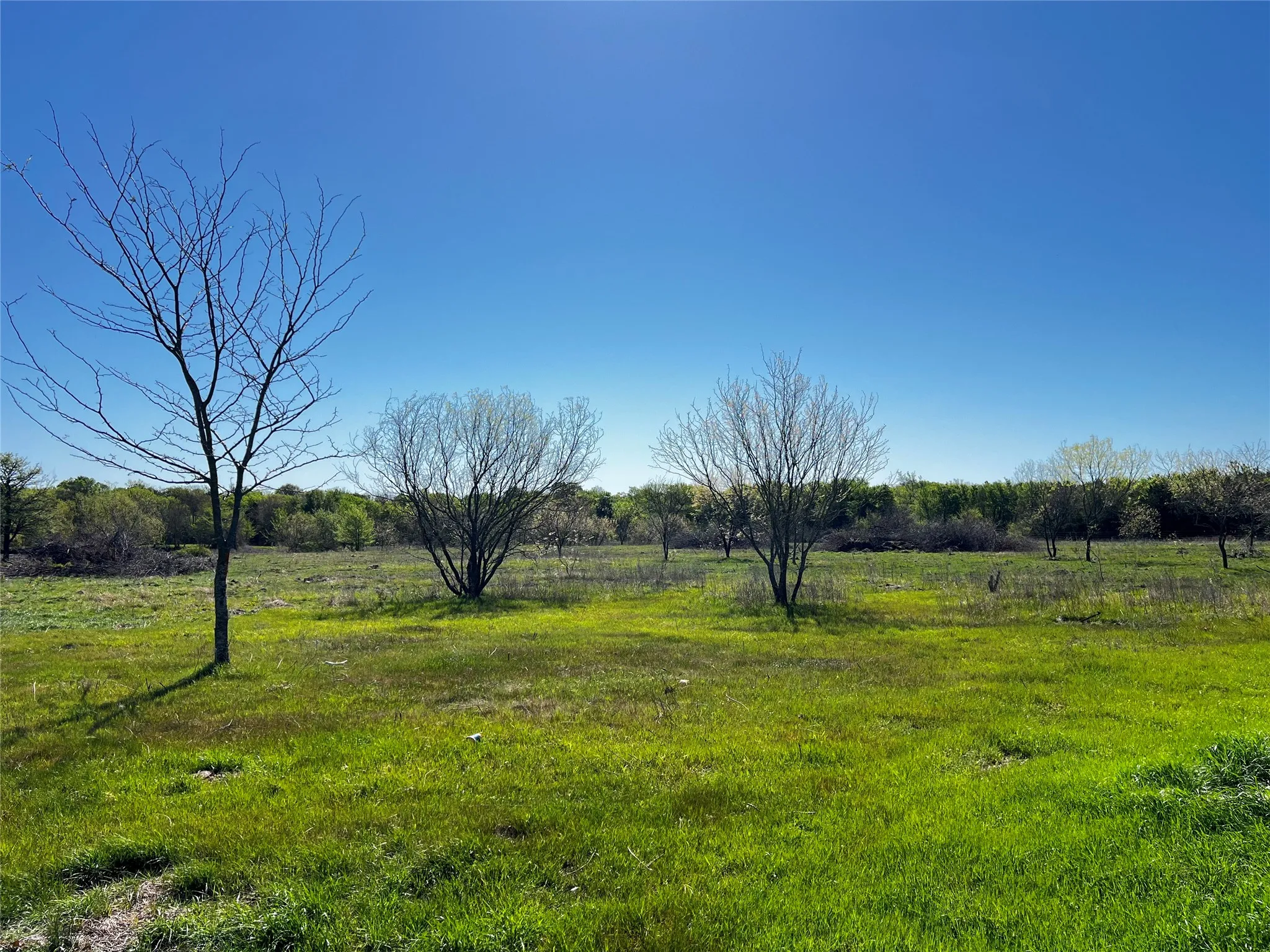 Unimproved Land For Sale in Freestone County , TBD FCR 971, Mexia, Texas 76667, 0, 0, Garage spaces, 0 Sqft, built in 0, Price $335,000, mls#21214429, Real Estate Agent in Mexia, Homes For Sale in Freestone county, Homes For Sale in Mexia, Realtor in Mexia Texas, Real Estate Brokerage Independent Realty Texas, Luminita Cordes Realtor
