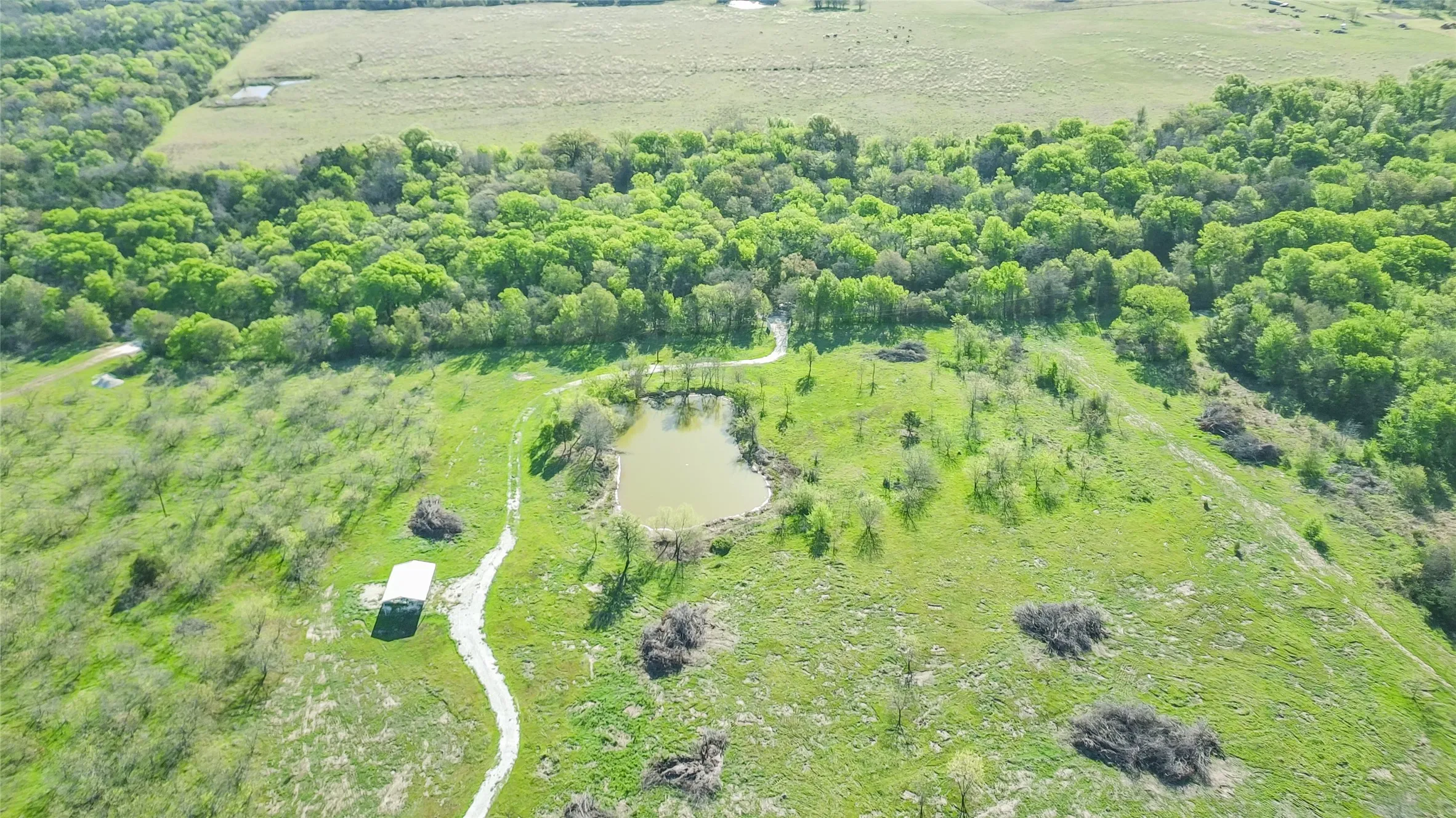 Unimproved Land For Sale in Freestone County , TBD FCR 971, Mexia, Texas 76667, 0, 0, Garage spaces, 0 Sqft, built in 0, Price $335,000, mls#21214429, Real Estate Agent in Mexia, Homes For Sale in Freestone county, Homes For Sale in Mexia, Realtor in Mexia Texas, Real Estate Brokerage Independent Realty Texas, Luminita Cordes Realtor