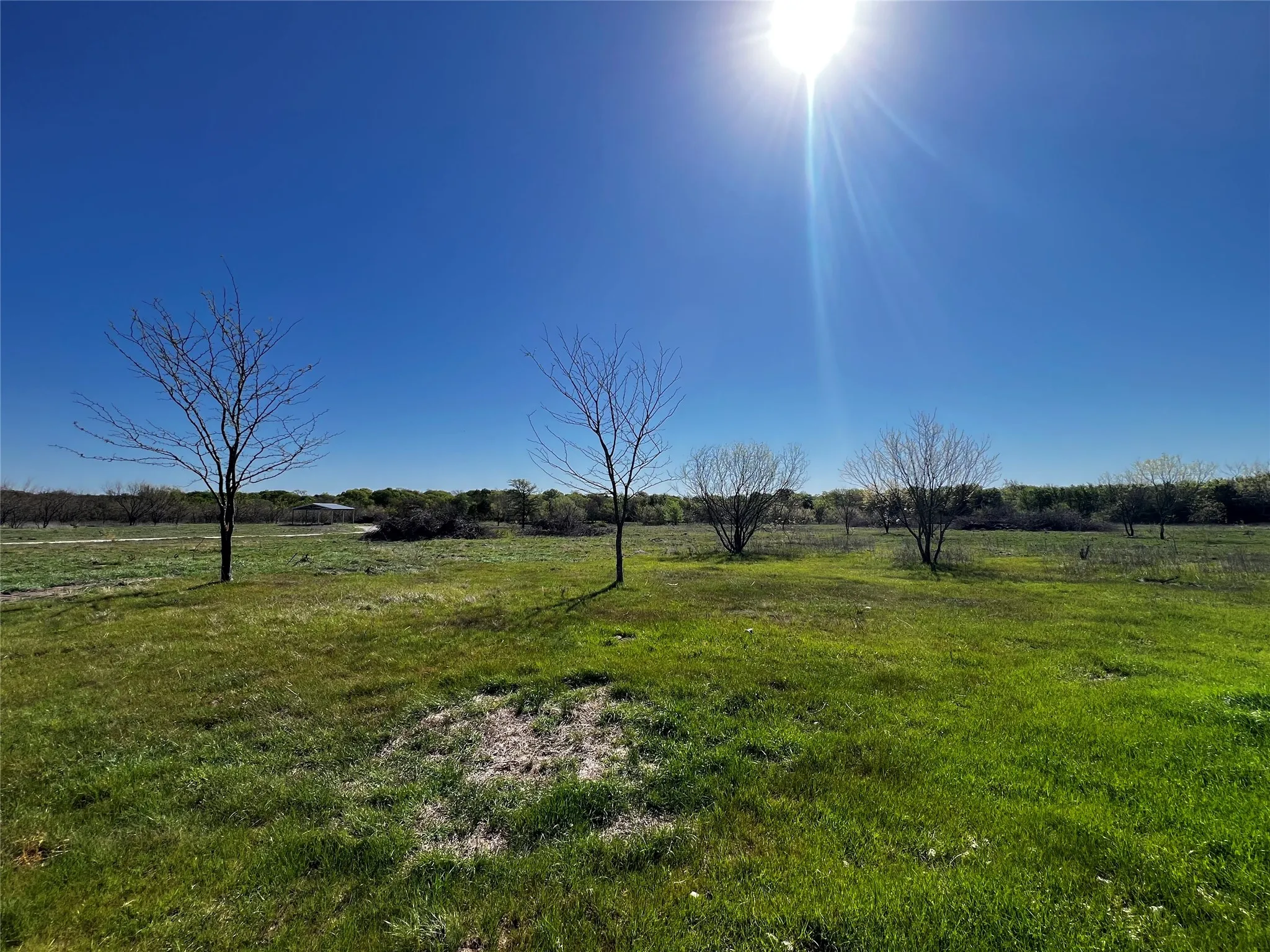 Unimproved Land For Sale in Freestone County , TBD FCR 971, Mexia, Texas 76667, 0, 0, Garage spaces, 0 Sqft, built in 0, Price $335,000, mls#21214429, Real Estate Agent in Mexia, Homes For Sale in Freestone county, Homes For Sale in Mexia, Realtor in Mexia Texas, Real Estate Brokerage Independent Realty Texas, Luminita Cordes Realtor