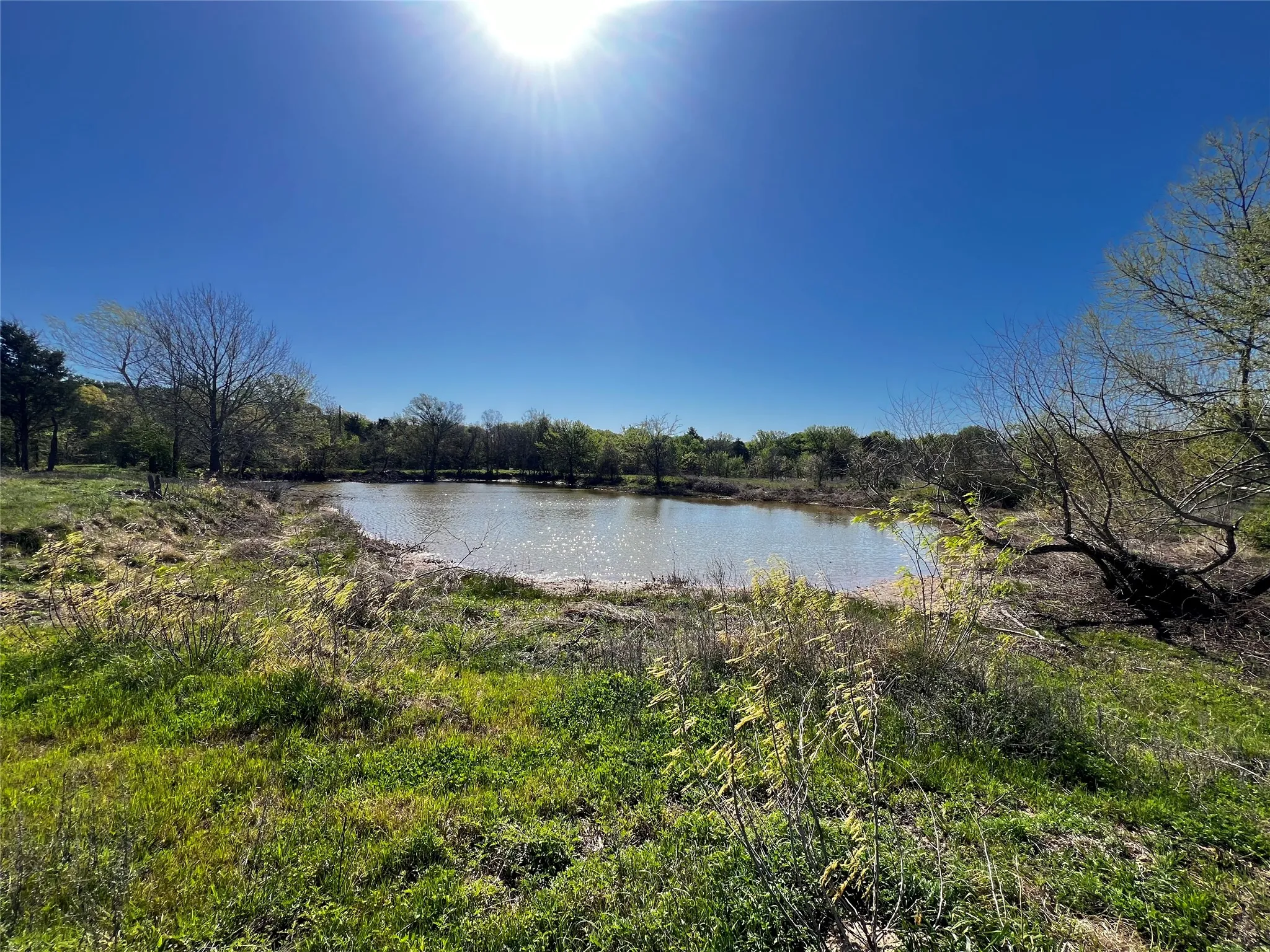 Unimproved Land For Sale in Freestone County , TBD FCR 971, Mexia, Texas 76667, 0, 0, Garage spaces, 0 Sqft, built in 0, Price $335,000, mls#21214429, Real Estate Agent in Mexia, Homes For Sale in Freestone county, Homes For Sale in Mexia, Realtor in Mexia Texas, Real Estate Brokerage Independent Realty Texas, Luminita Cordes Realtor