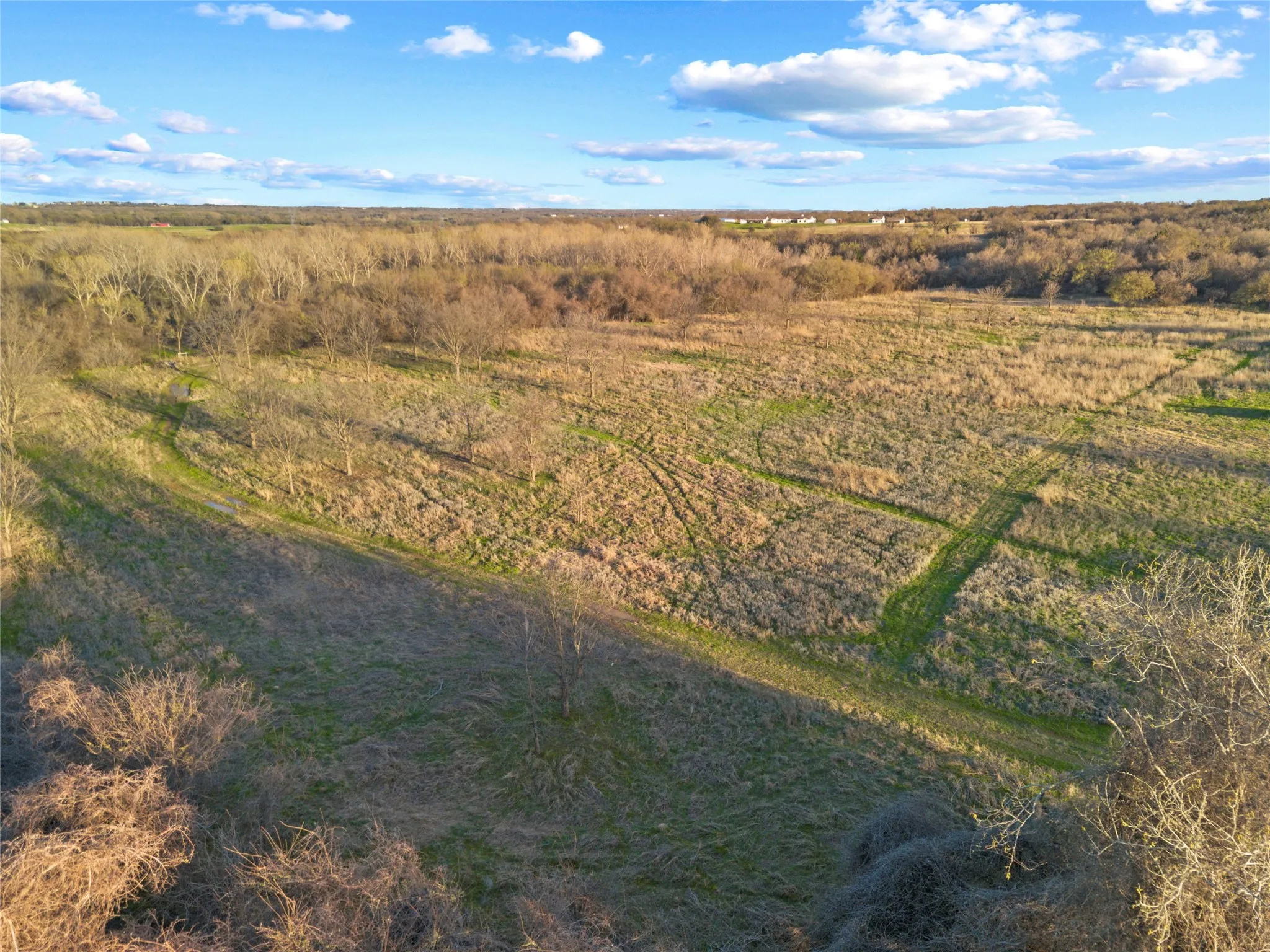 Unimproved Land For Sale in Parker County , 9911 Zion Hill Road, Poolville, Texas 76487, 0, 0, Garage spaces, 0 Sqft, built in 0, mls#21208937, Real Estate Agent in Poolville, Homes For Sale in Parker county, Homes For Sale in Poolville, Realtor in Poolville Texas, Real Estate Brokerage Independent Realty Texas, Luminita Cordes Realtor