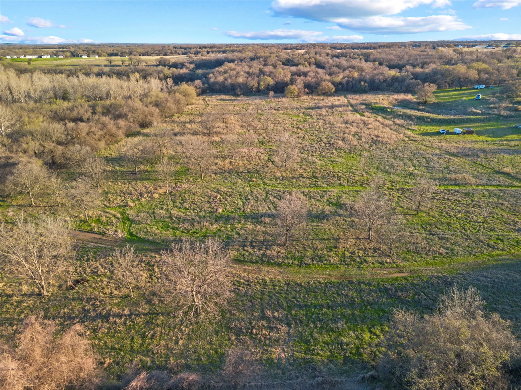 Unimproved Land For Sale in Parker County , 9911 Zion Hill Road, Poolville, Texas 76487, 0, 0, Garage spaces, 0 Sqft, built in 0, mls#21208937, Real Estate Agent in Poolville, Homes For Sale in Parker county, Homes For Sale in Poolville, Realtor in Poolville Texas, Real Estate Brokerage Independent Realty Texas, Luminita Cordes Realtor