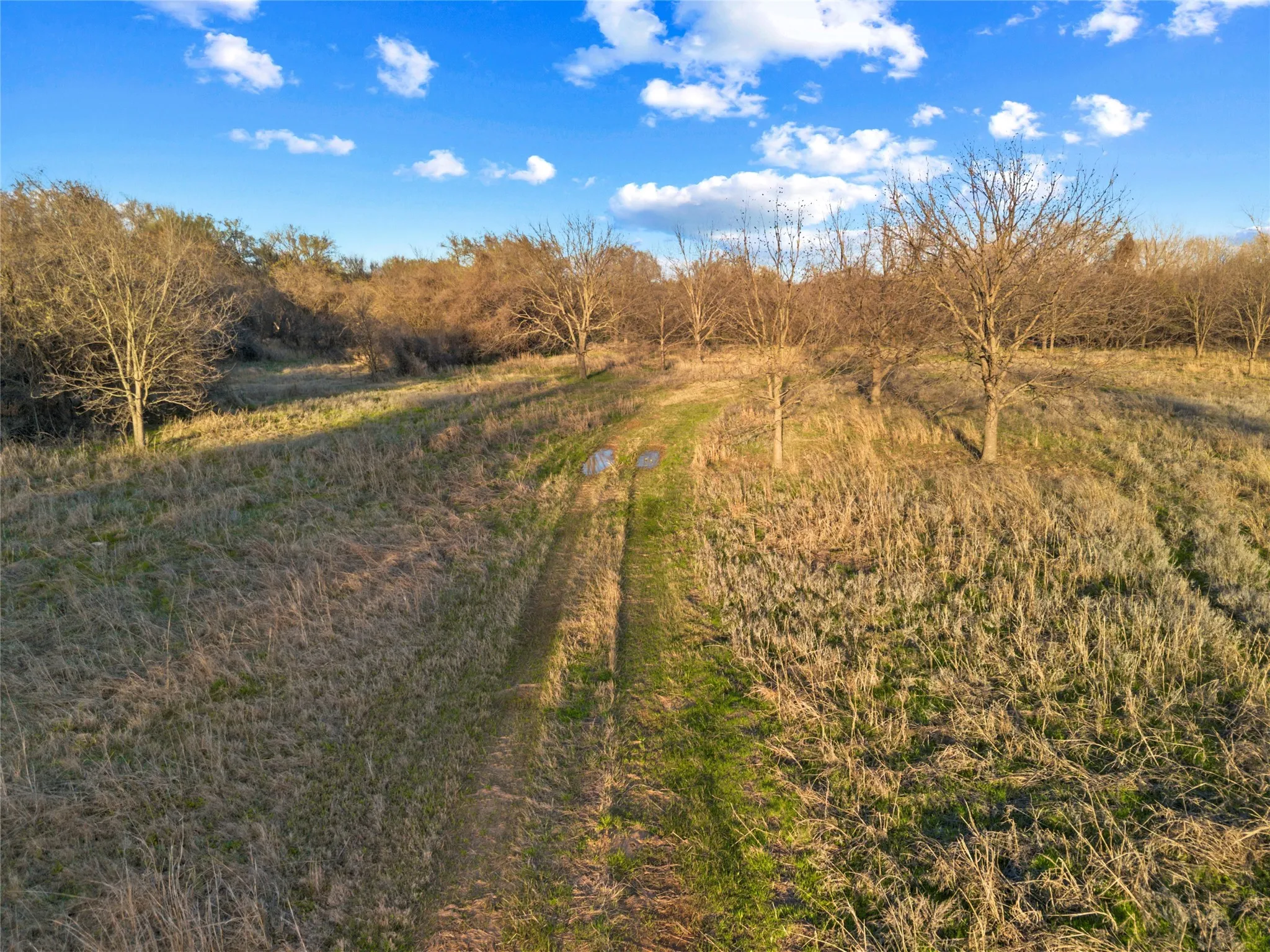 Unimproved Land For Sale in Parker County , 9911 Zion Hill Road, Poolville, Texas 76487, 0, 0, Garage spaces, 0 Sqft, built in 0, mls#21208937, Real Estate Agent in Poolville, Homes For Sale in Parker county, Homes For Sale in Poolville, Realtor in Poolville Texas, Real Estate Brokerage Independent Realty Texas, Luminita Cordes Realtor